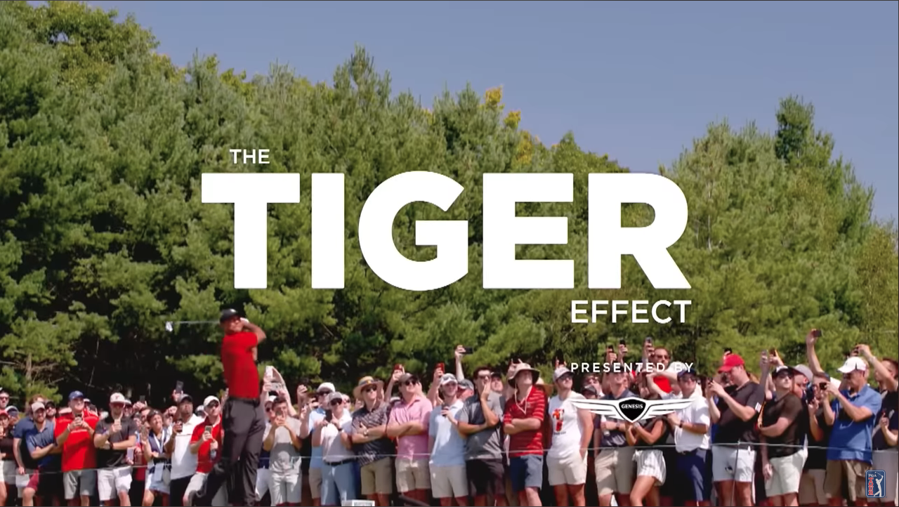 The Tiger Effect