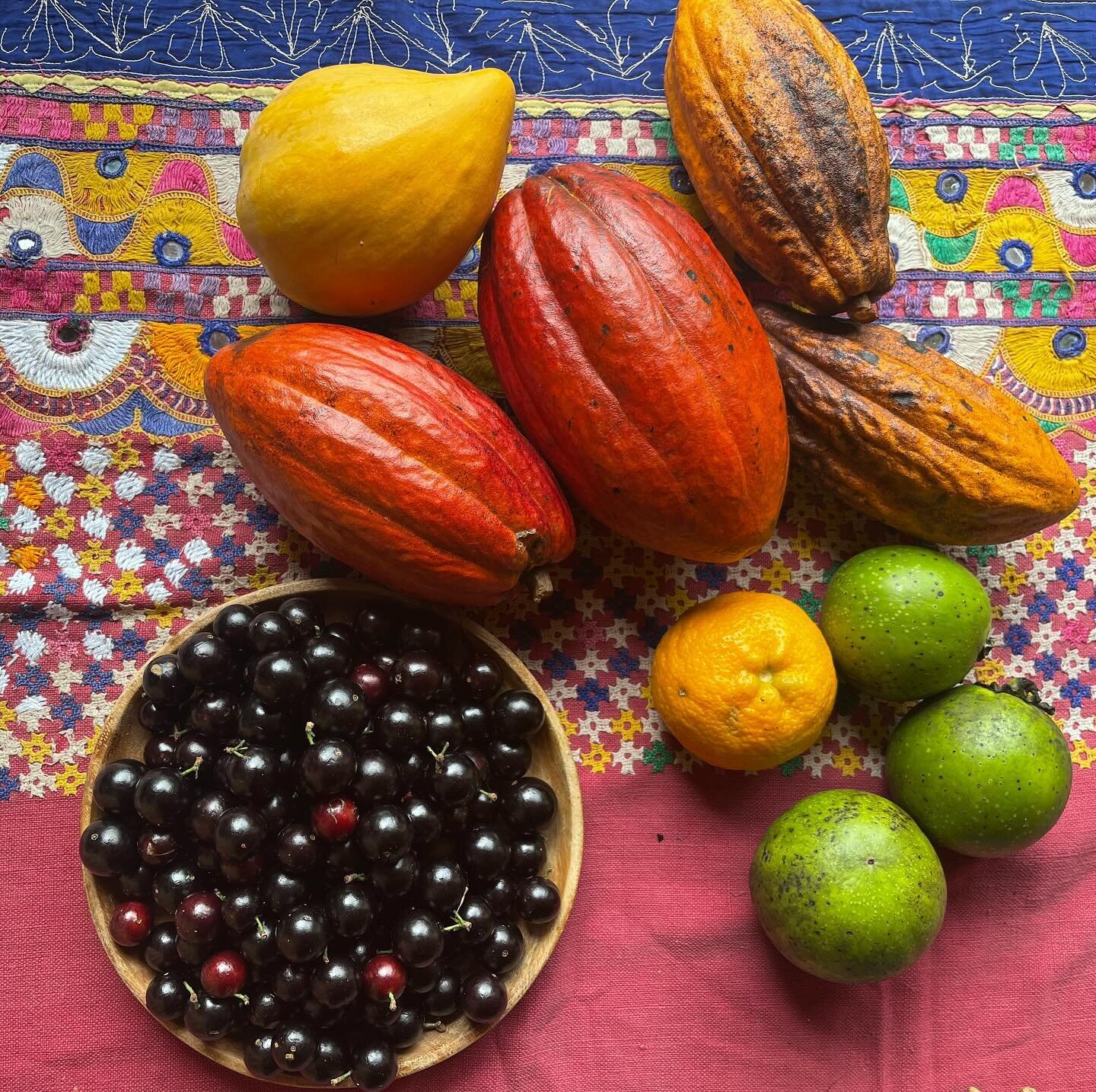 Woke up to this love ready for the eating. Isn&rsquo;t it nice to harvest just what you are gonna eat for the day? Fresh medicine full of Prana right off the tree? Thank you Aina for today&rsquo;s Mana! 
.
.
.
#WaiManaHawaii #Cacao #Jaboticaba #Canis