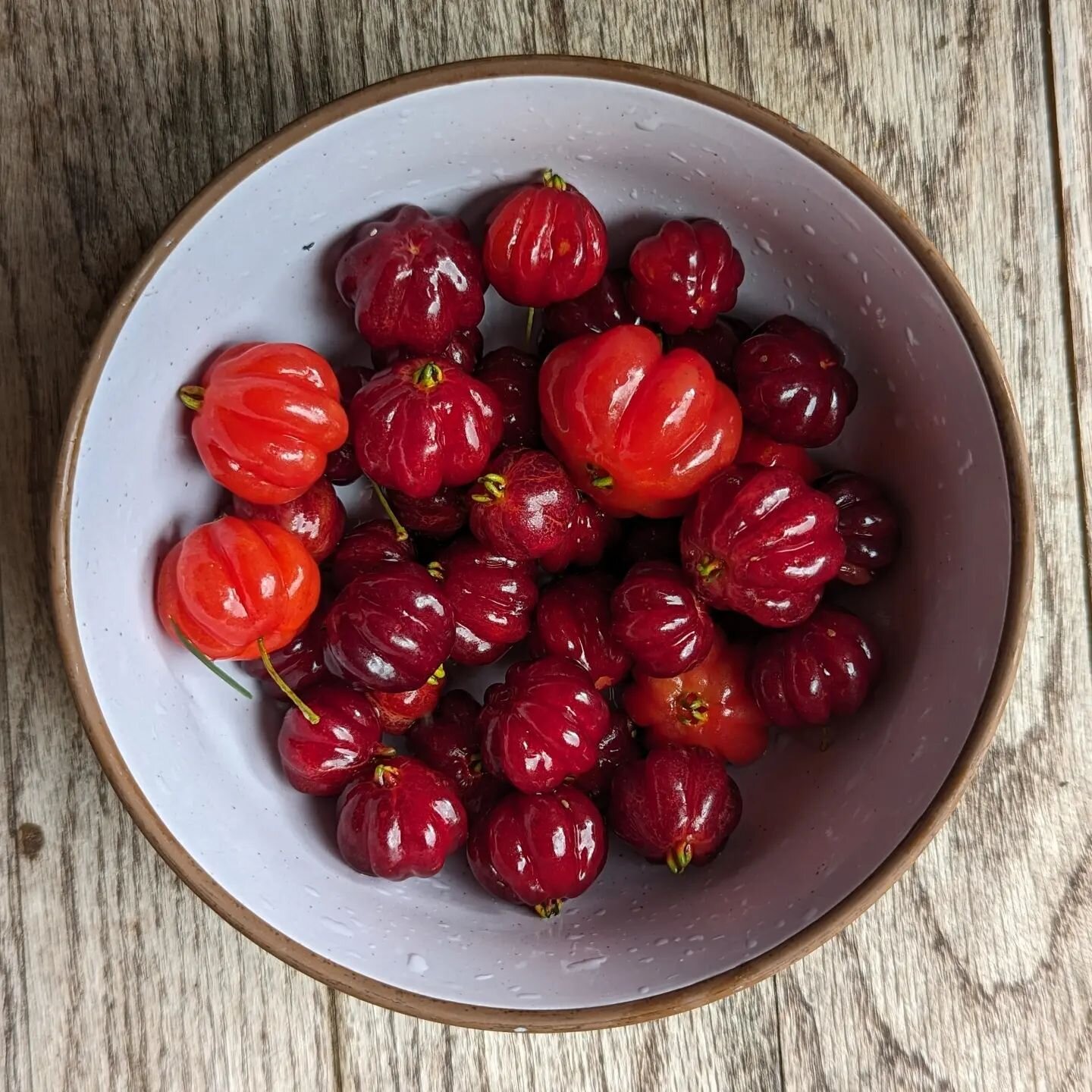 #SurinamCherries 😋 #bigisland #waimanabigisland #health #healthyfood #healthiswealth #eatfruit #eatcolorful #growyourownfood #hawaii #aspire2inspire