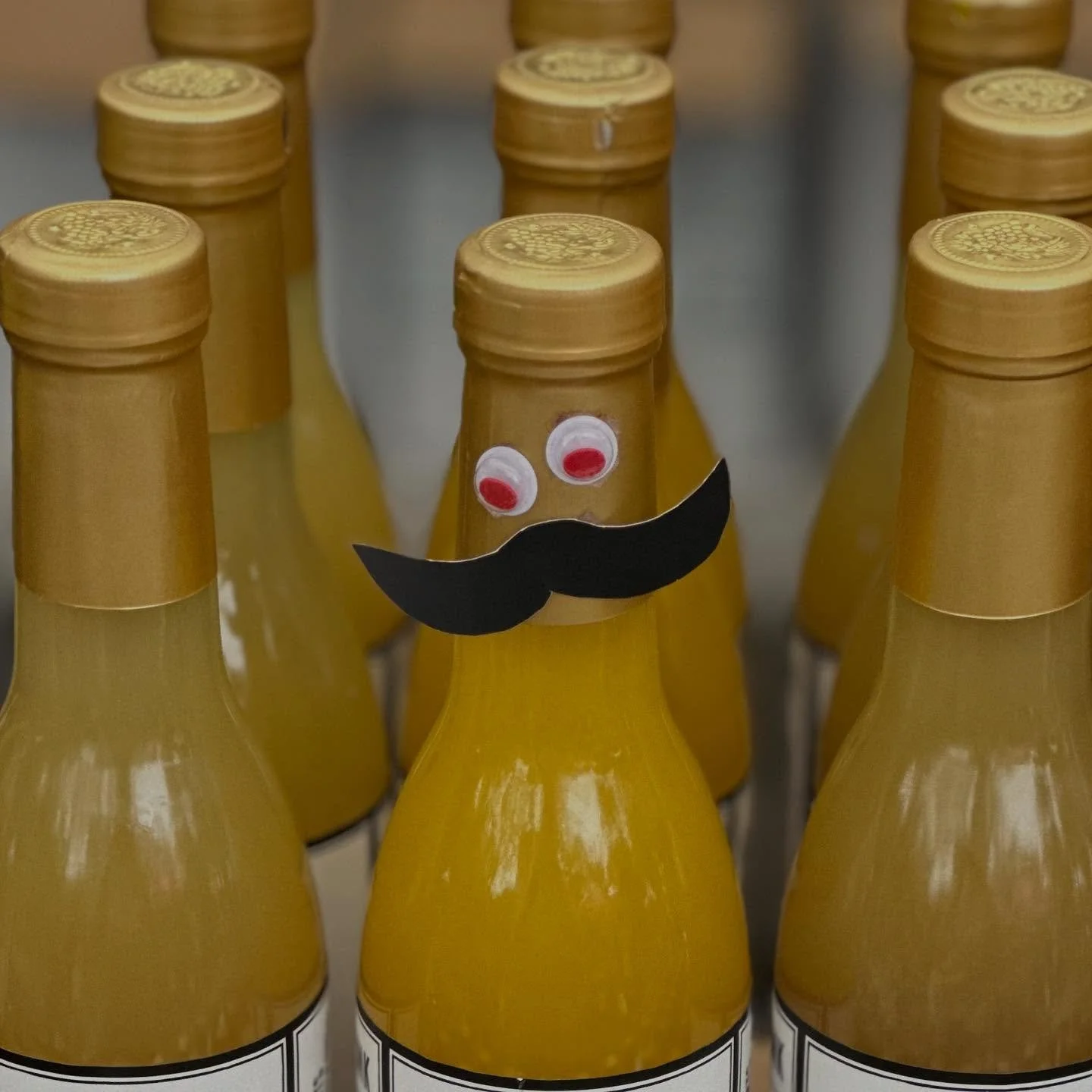 Hope everyone had a great Halloween!&hellip;.but here we are, November!! Holiday show season is in full swing and we&rsquo;re in Prince George for 2 more days with, I must say, some of BCs finest vendors! Come get all of your holiday shopping done!
C