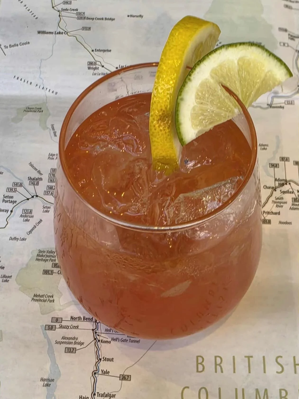 The world renowned @rockymountaineer serving up cocktail on board using Frostbites. Sit back and enjoy the scenery while you enjoy a cocktail made with our haskap berry cordial or raspberry wild rose cordial. Or why choose - have both like my dear fr