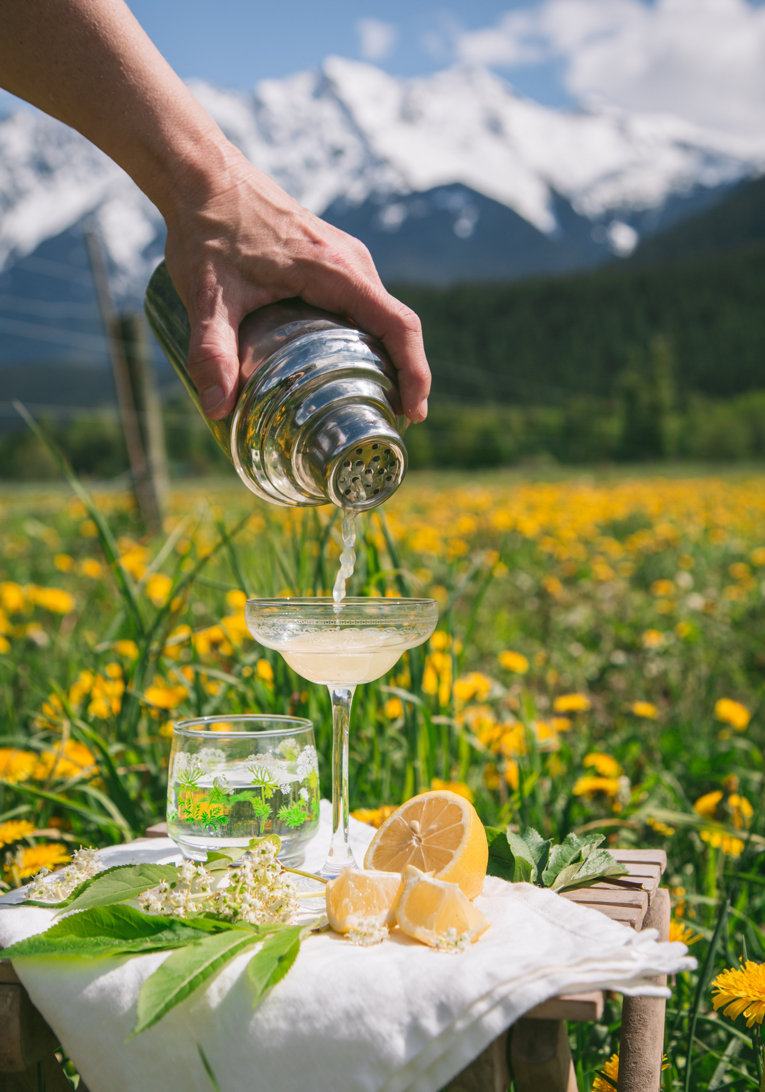 Cucumber Elderflower Gin Gimlet — Frost Bites Syrup Co.