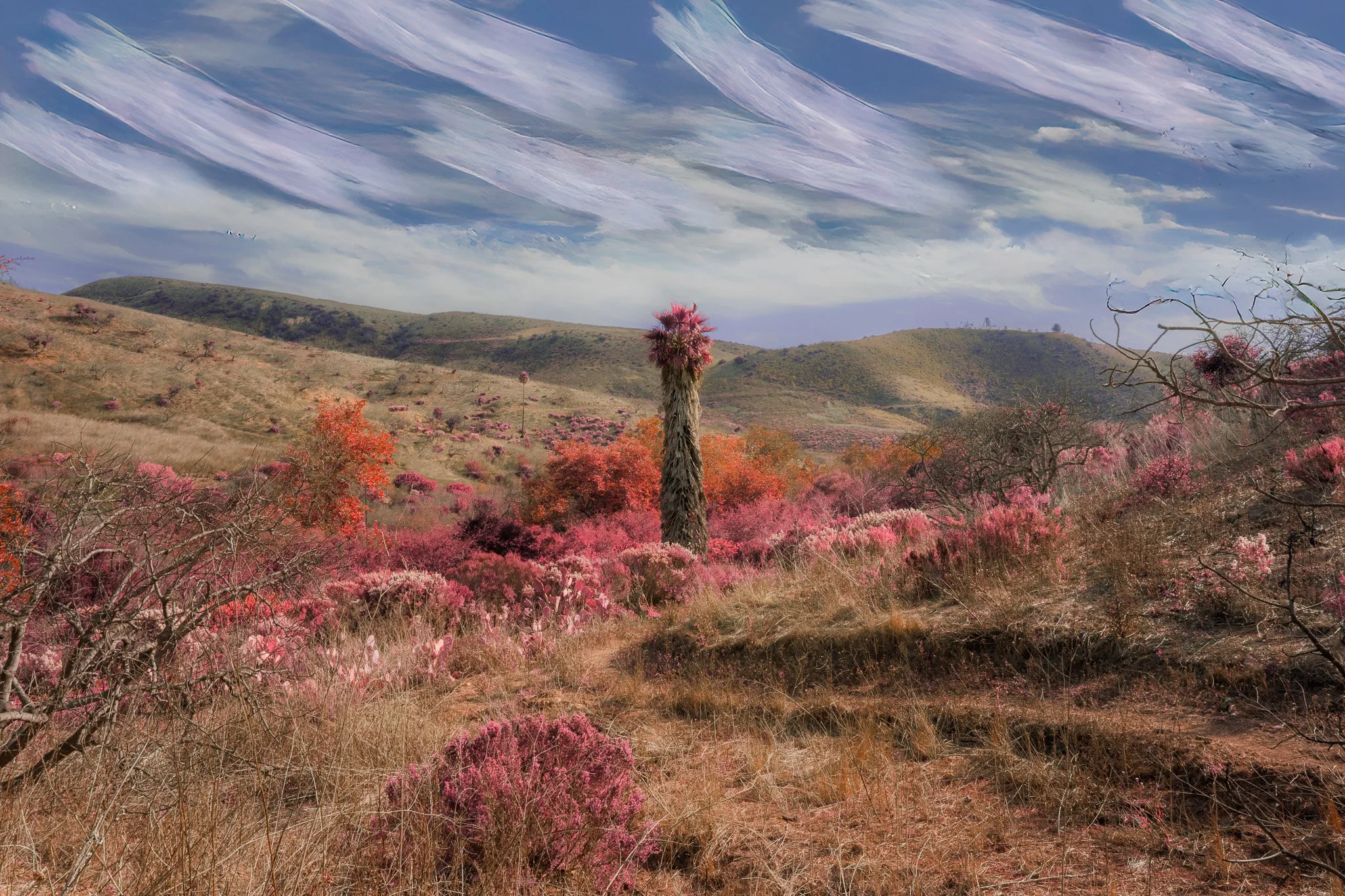 Infrared Dreams: Reimagined