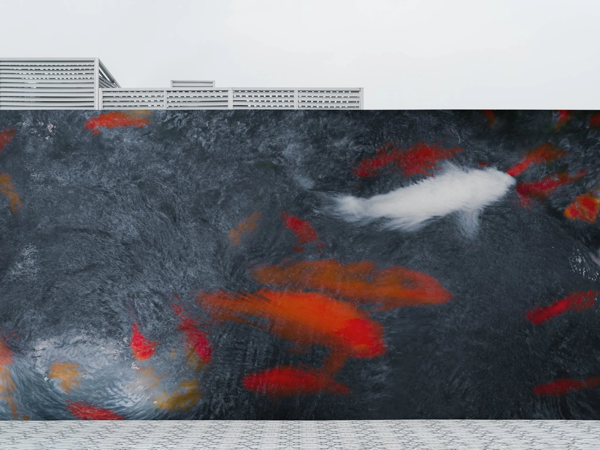 Composure - Mock Up.jpg