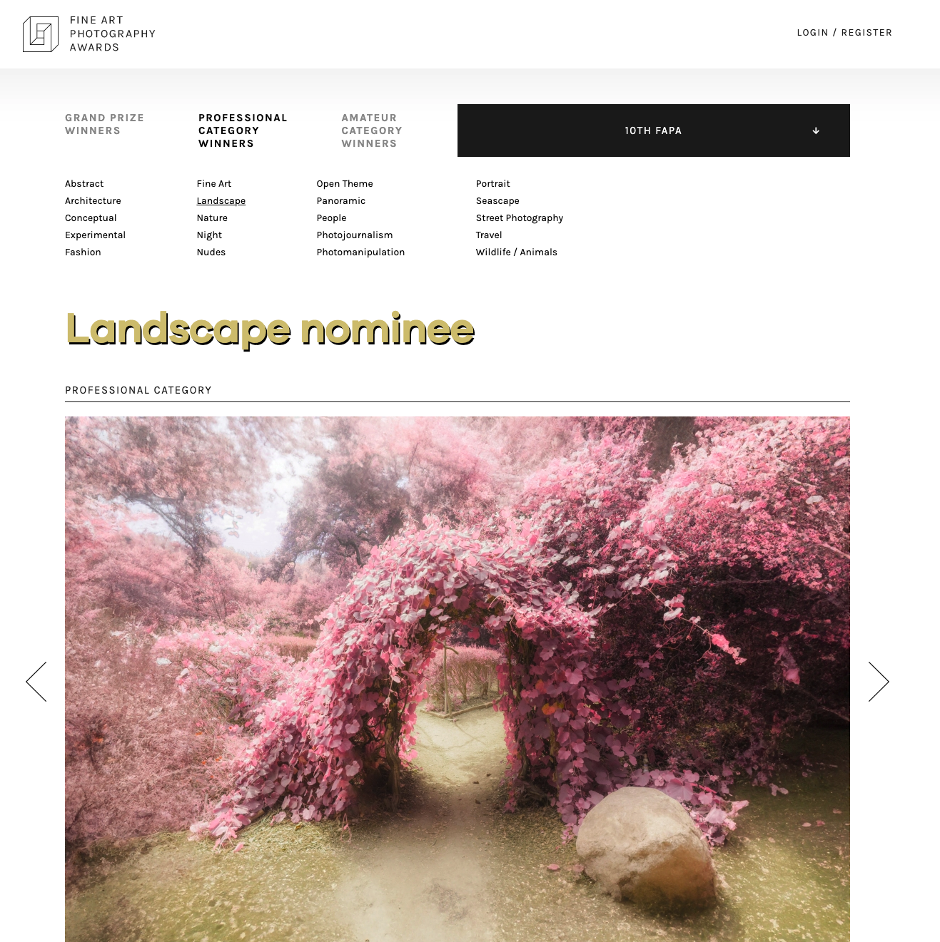 Fine Art Photography Awards Infrared Dreams.png