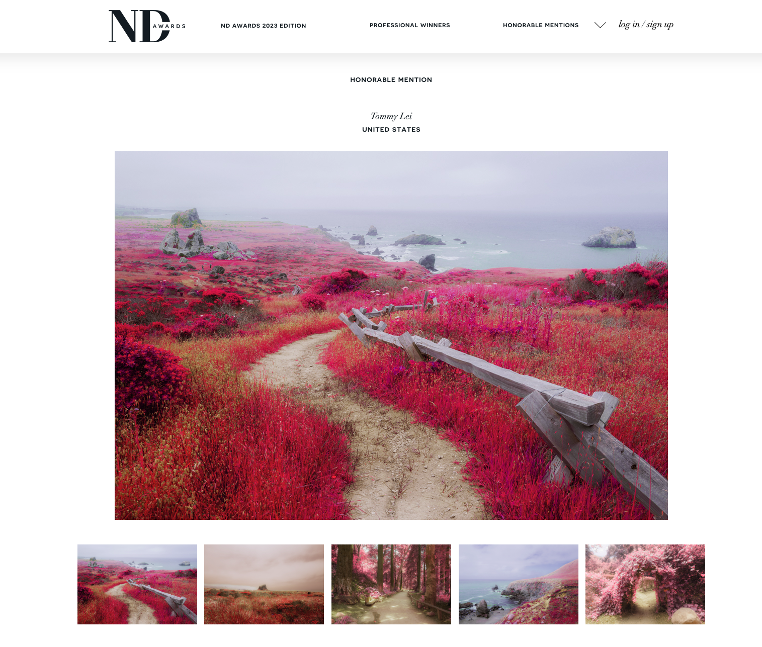 Neutral Density Awards Infrared Dreams.png