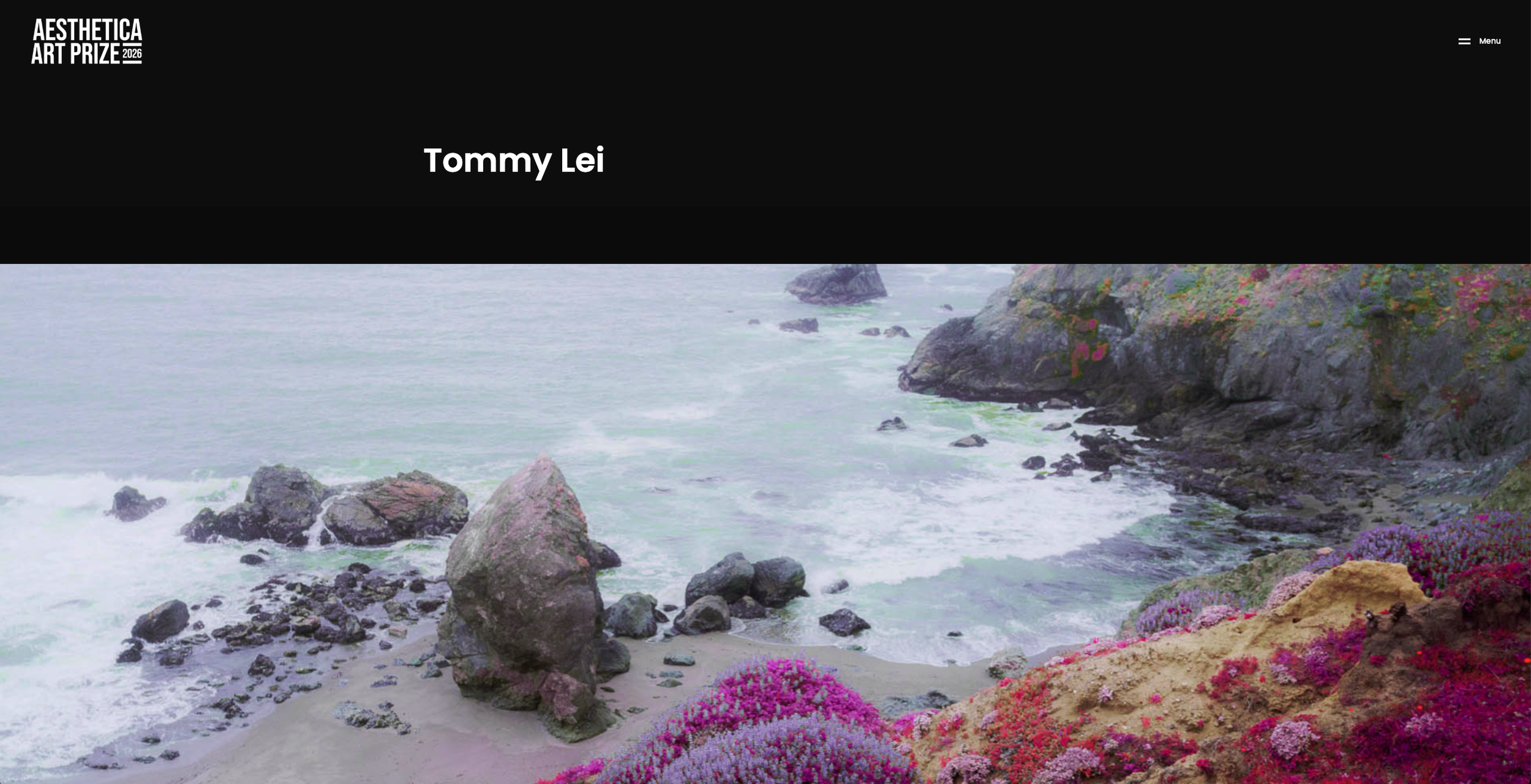 Aesthetica Magazine Art Prize Infrared Dreams.png