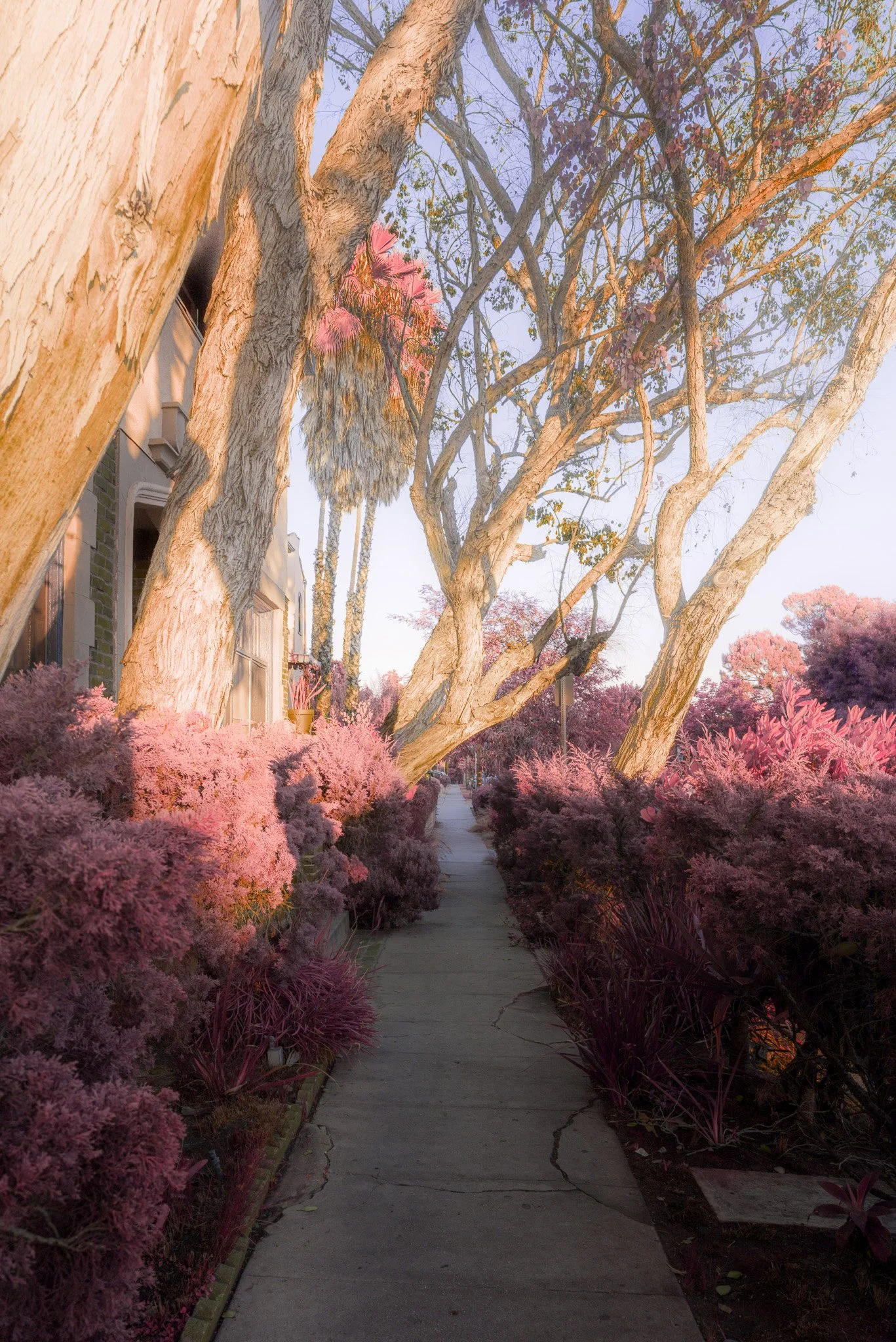 Los Feliz (2023)