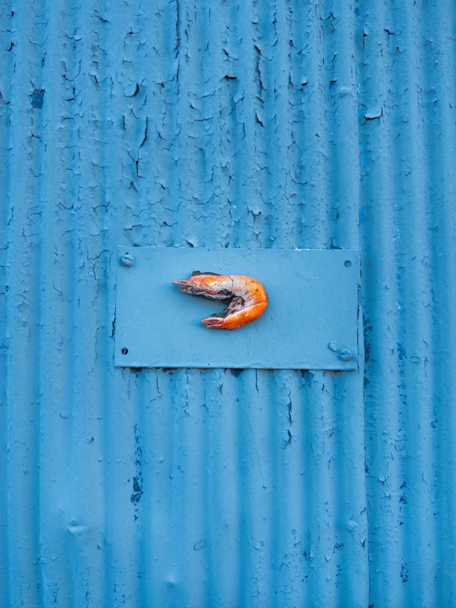 Shrimp Sign (2026)