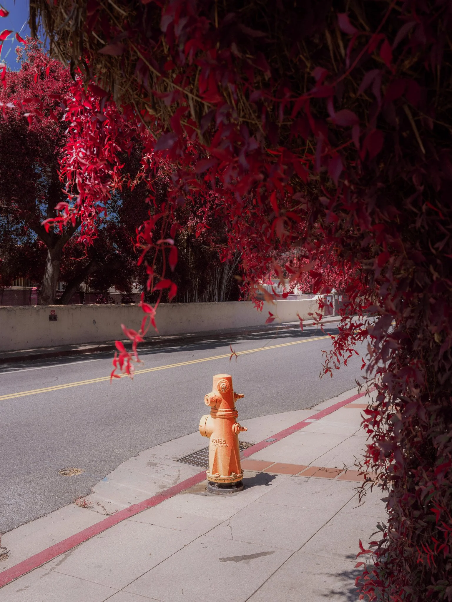 Hydrant (2023)