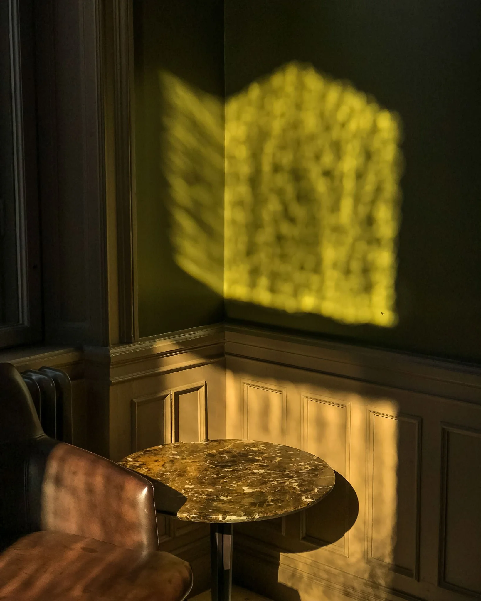 Shadows of Light (2018)