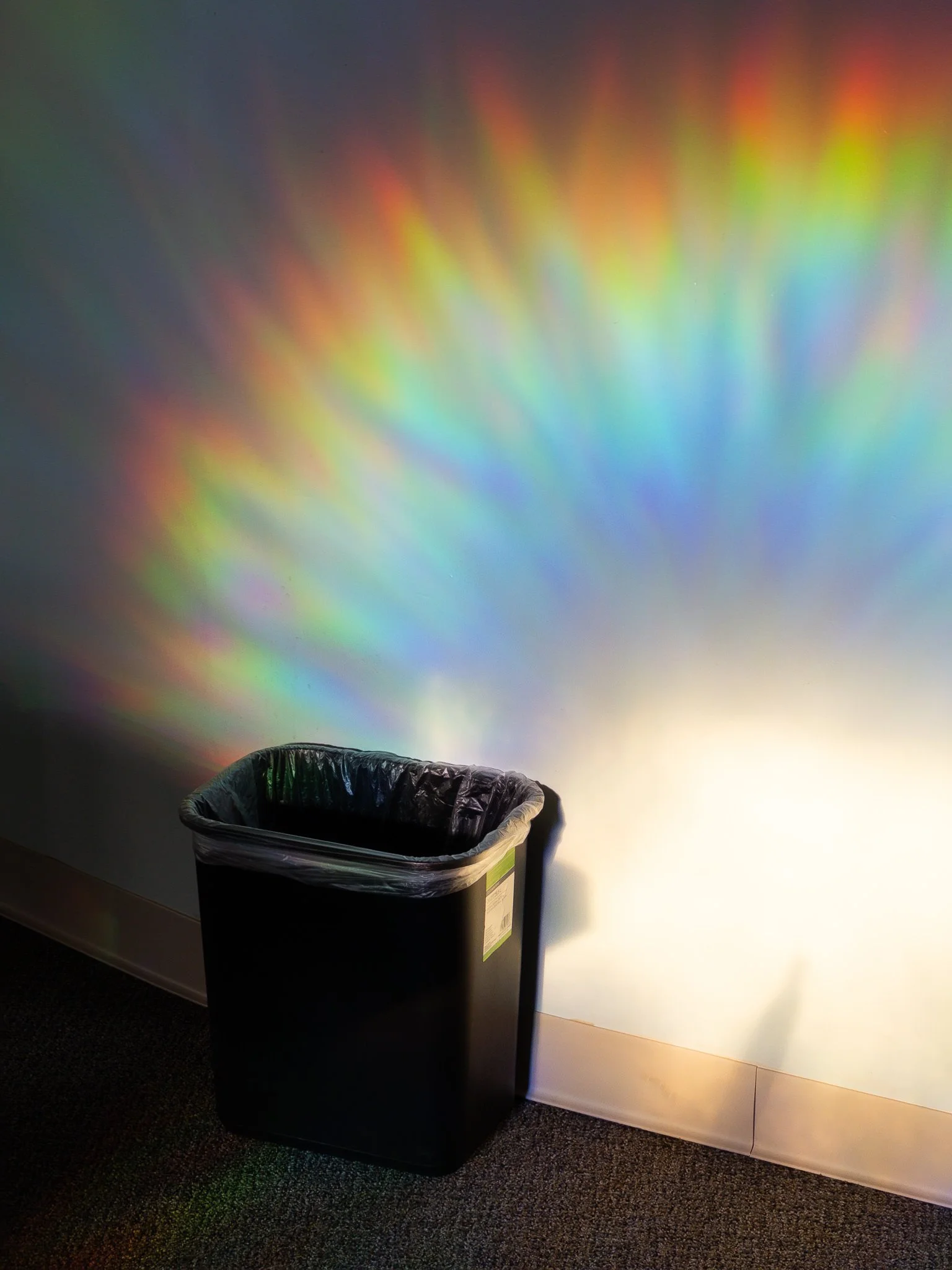 Rainbow Bin (2025)