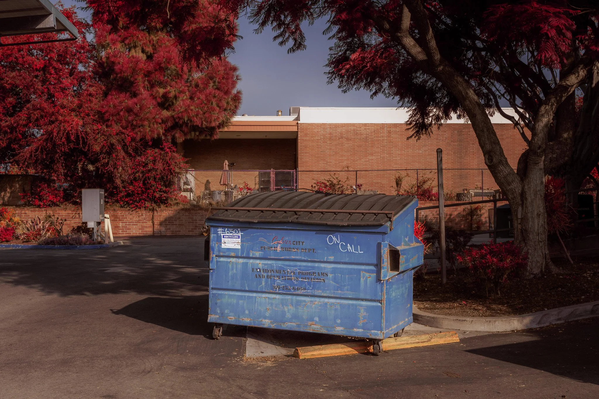 Dumpster (2023)