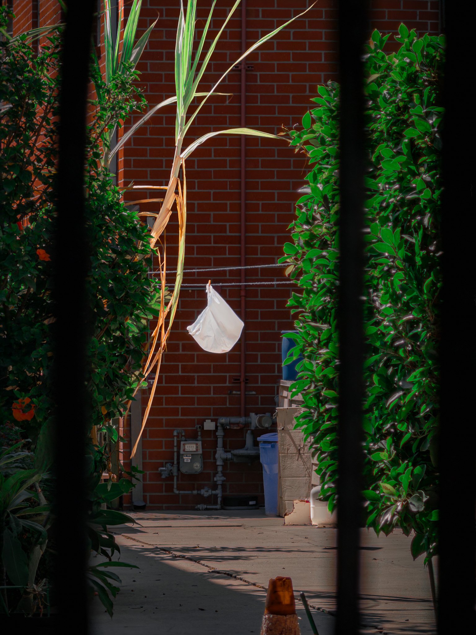 Floating Bag on a Clothesline (2026)