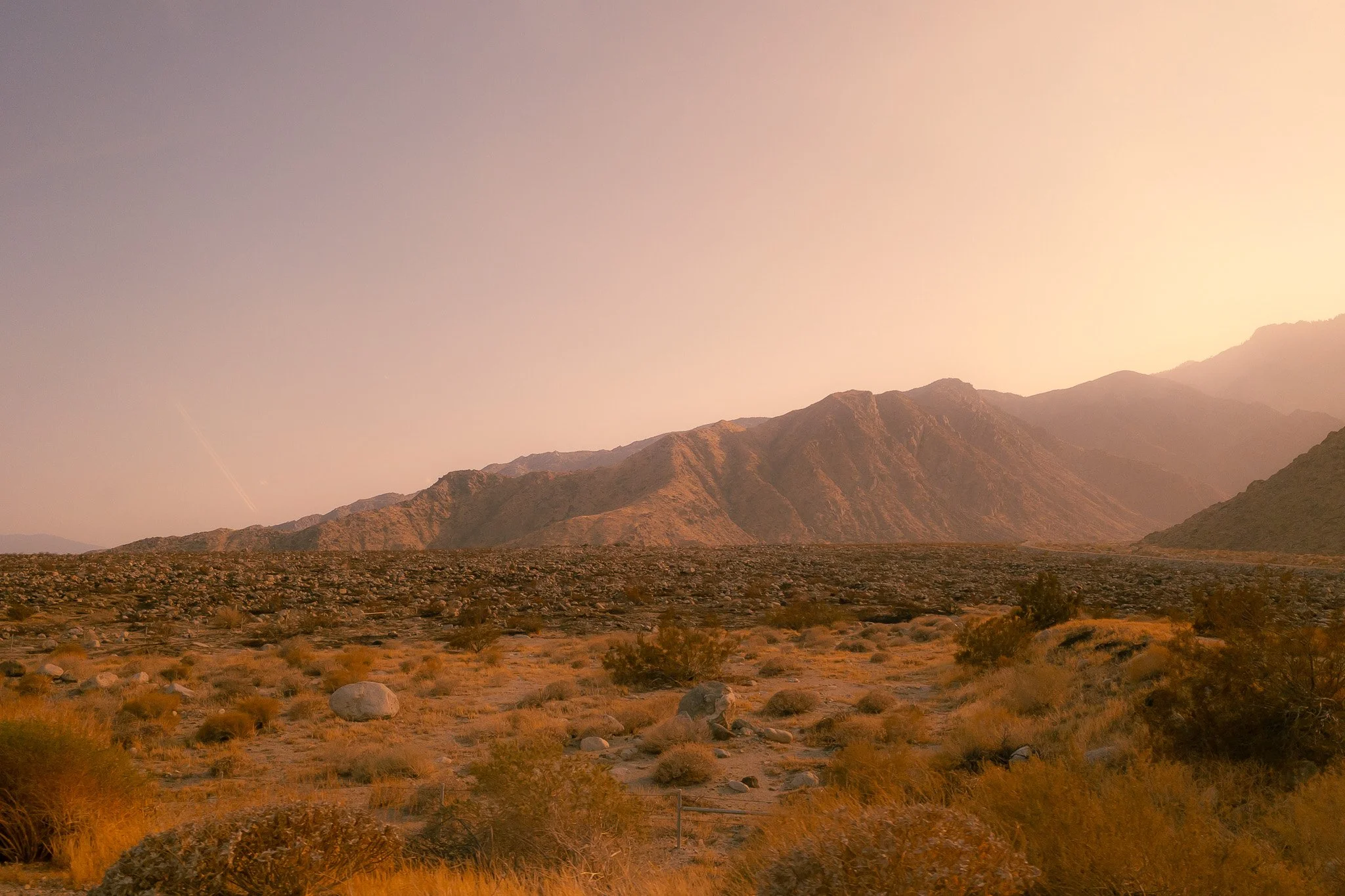 Desert Trail IV