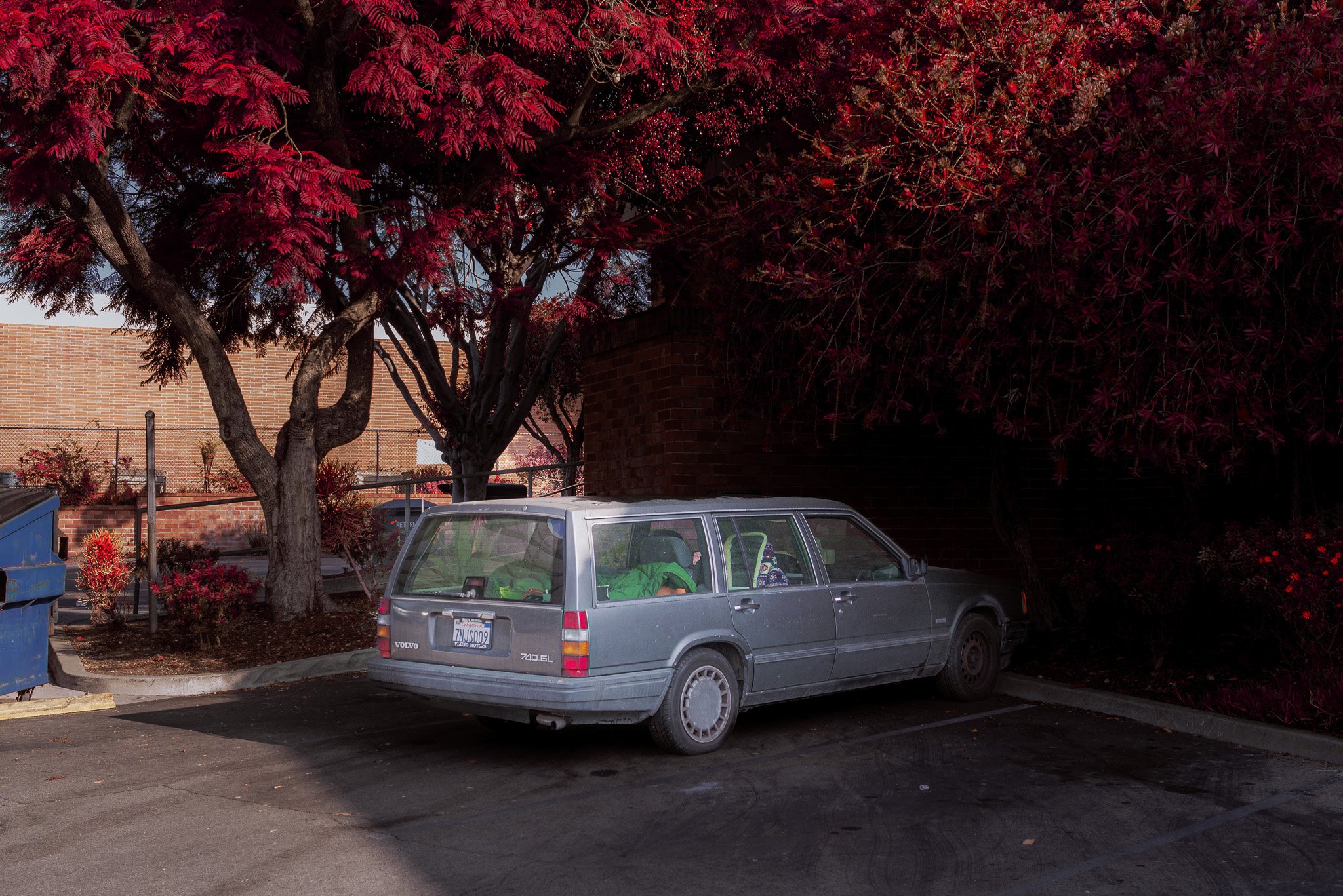Station Wagon (2023)