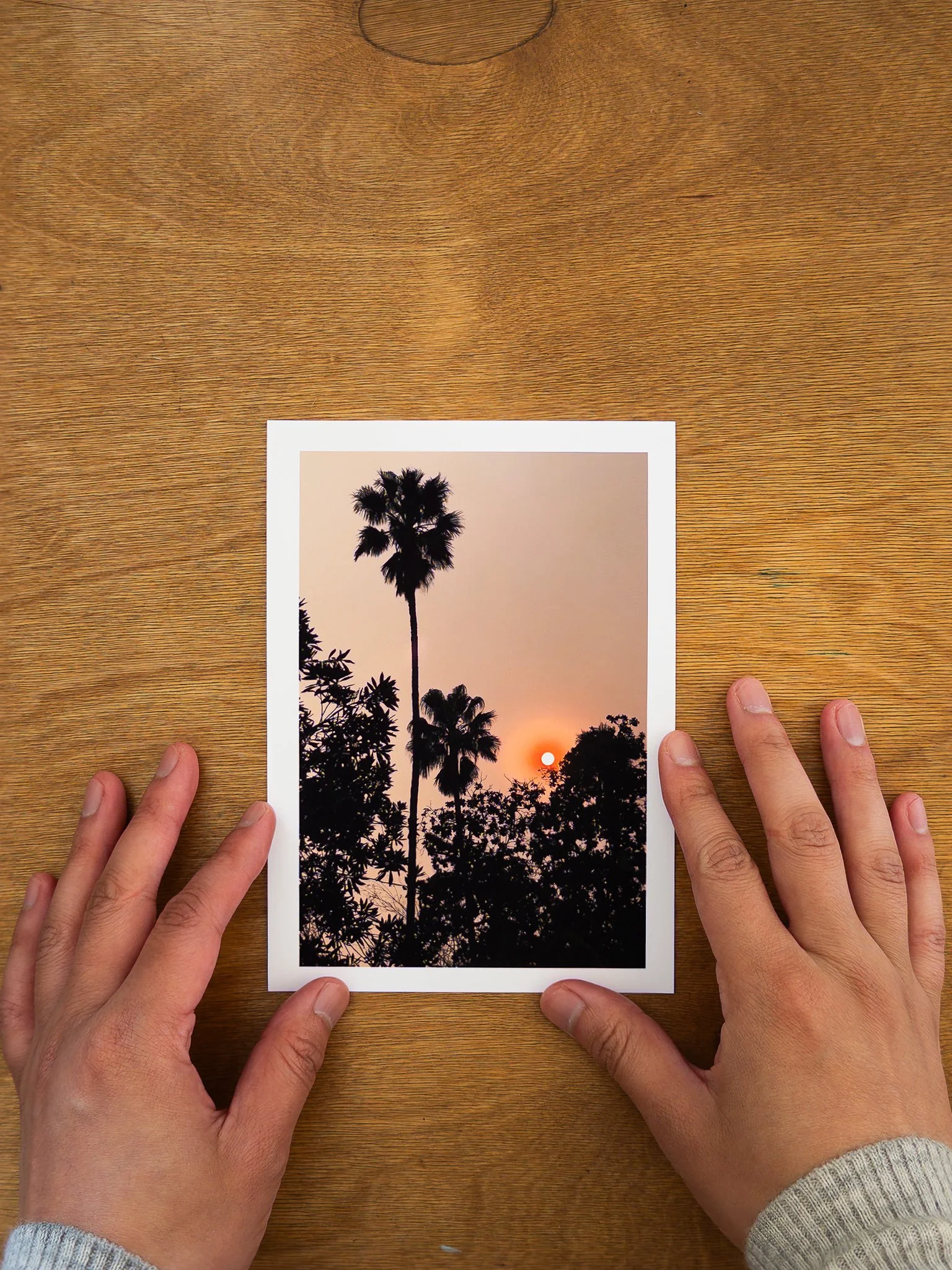 Altadena Heals - Artist Relief Fund - Signed Postcards by Tommy Lei10.jpg