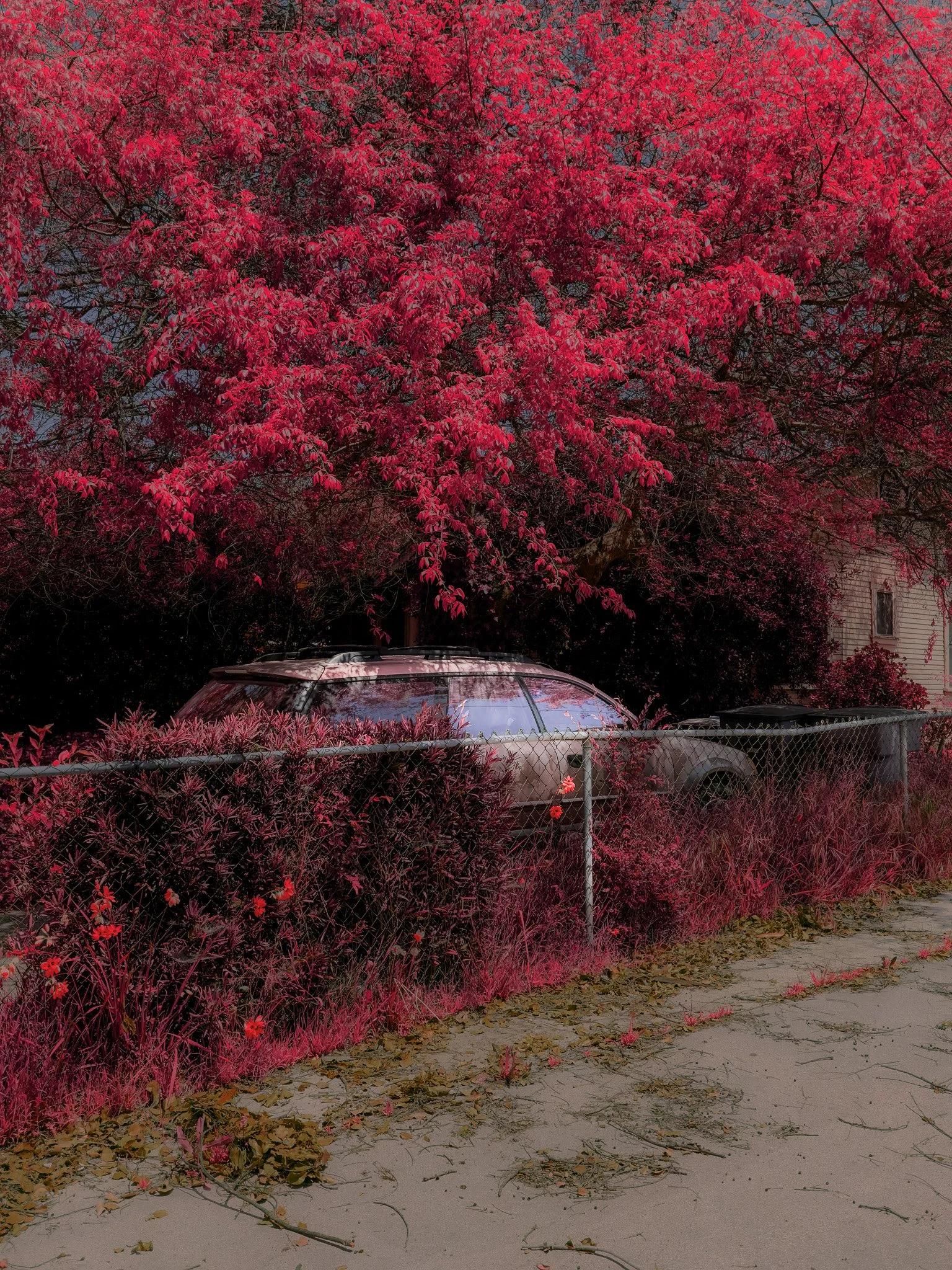 Driveways (2024)