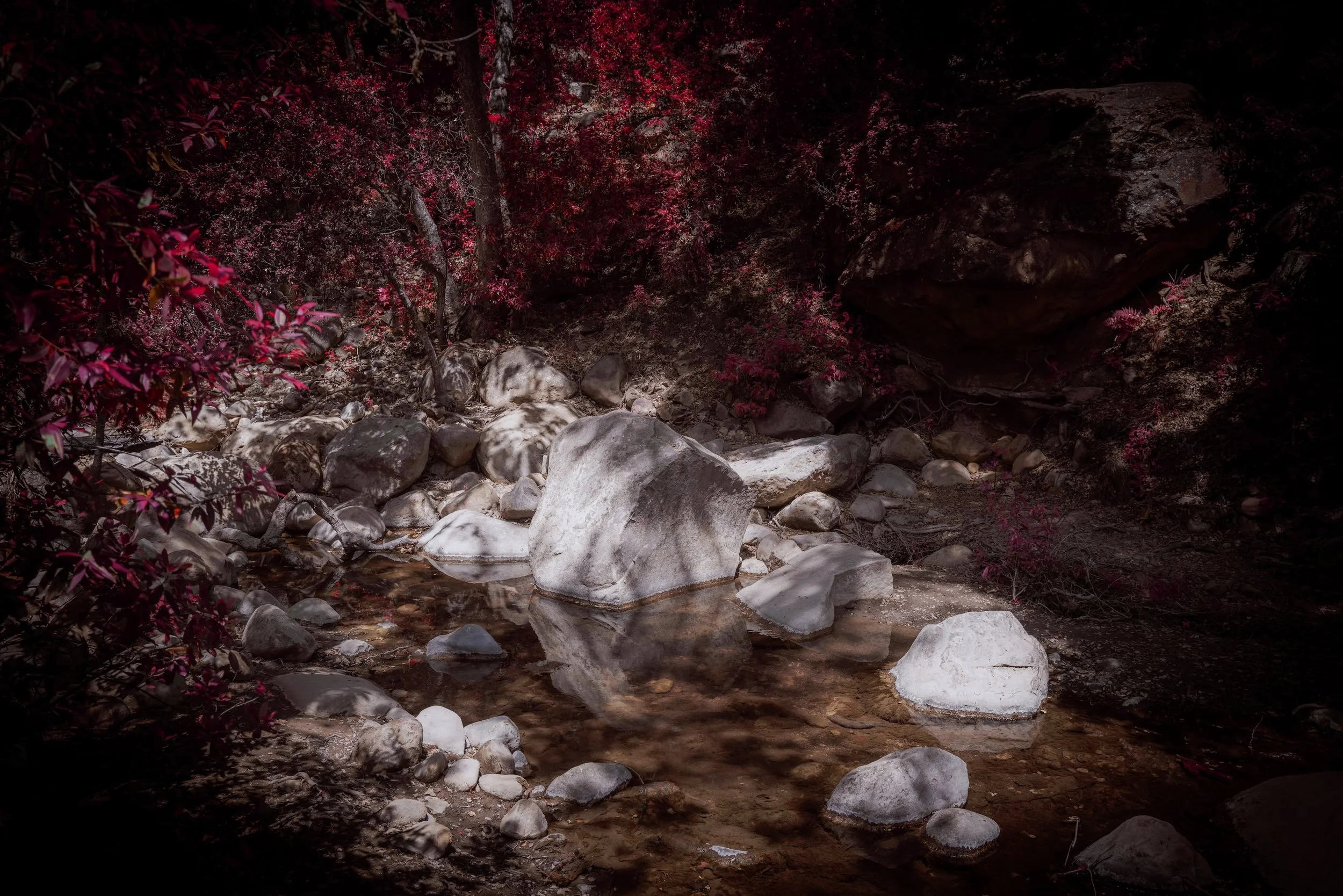 Reflection, Altadena (2024)