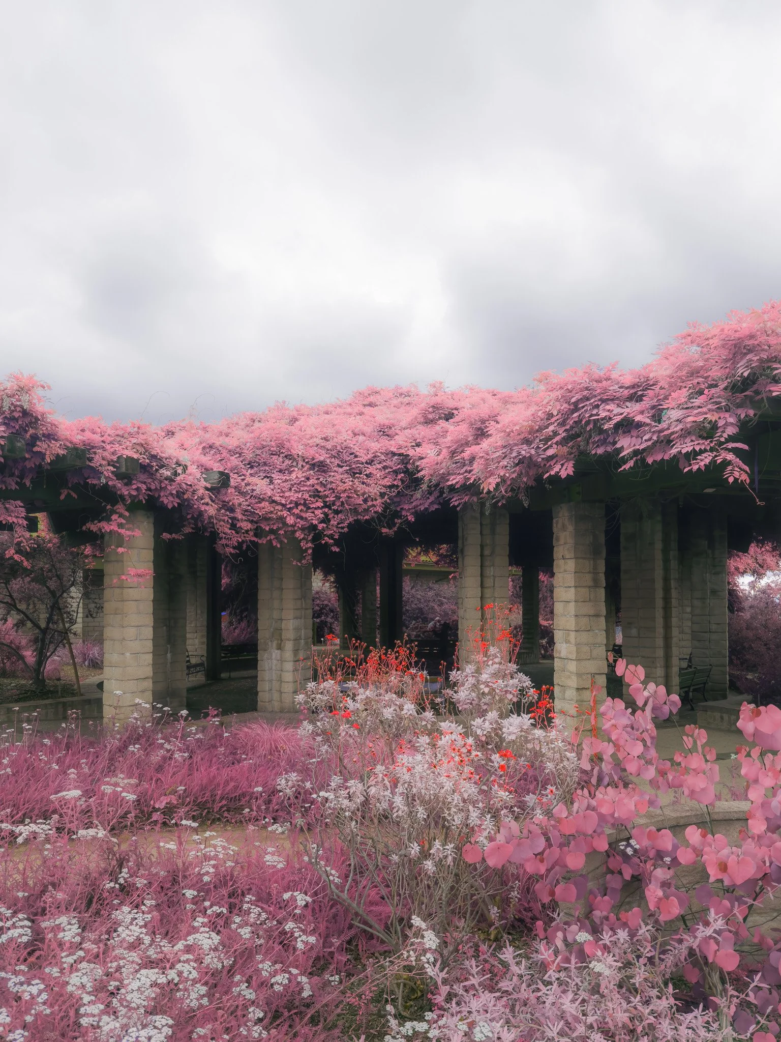 Sierra Madre (2025)