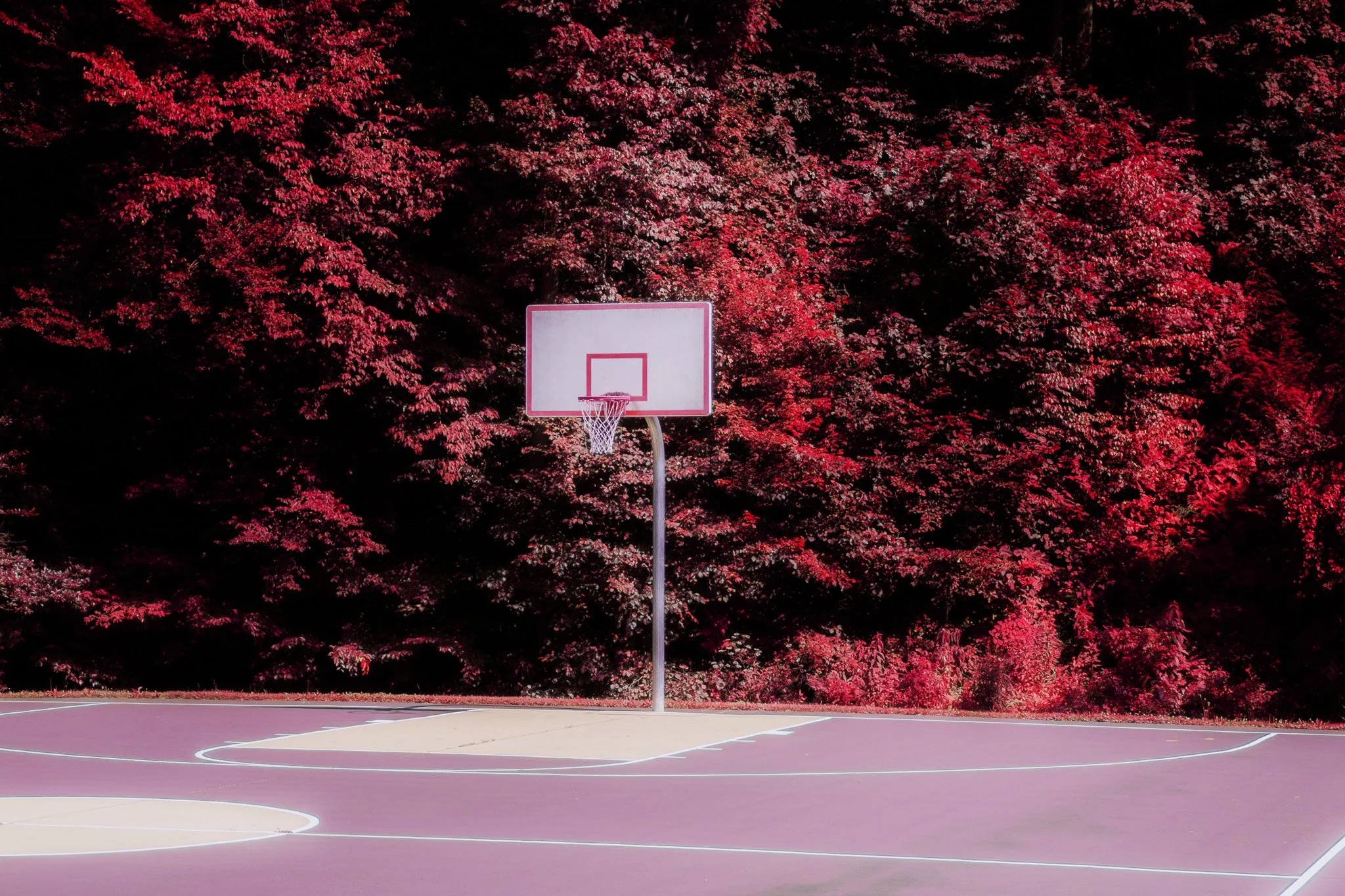 Courtside (2025)