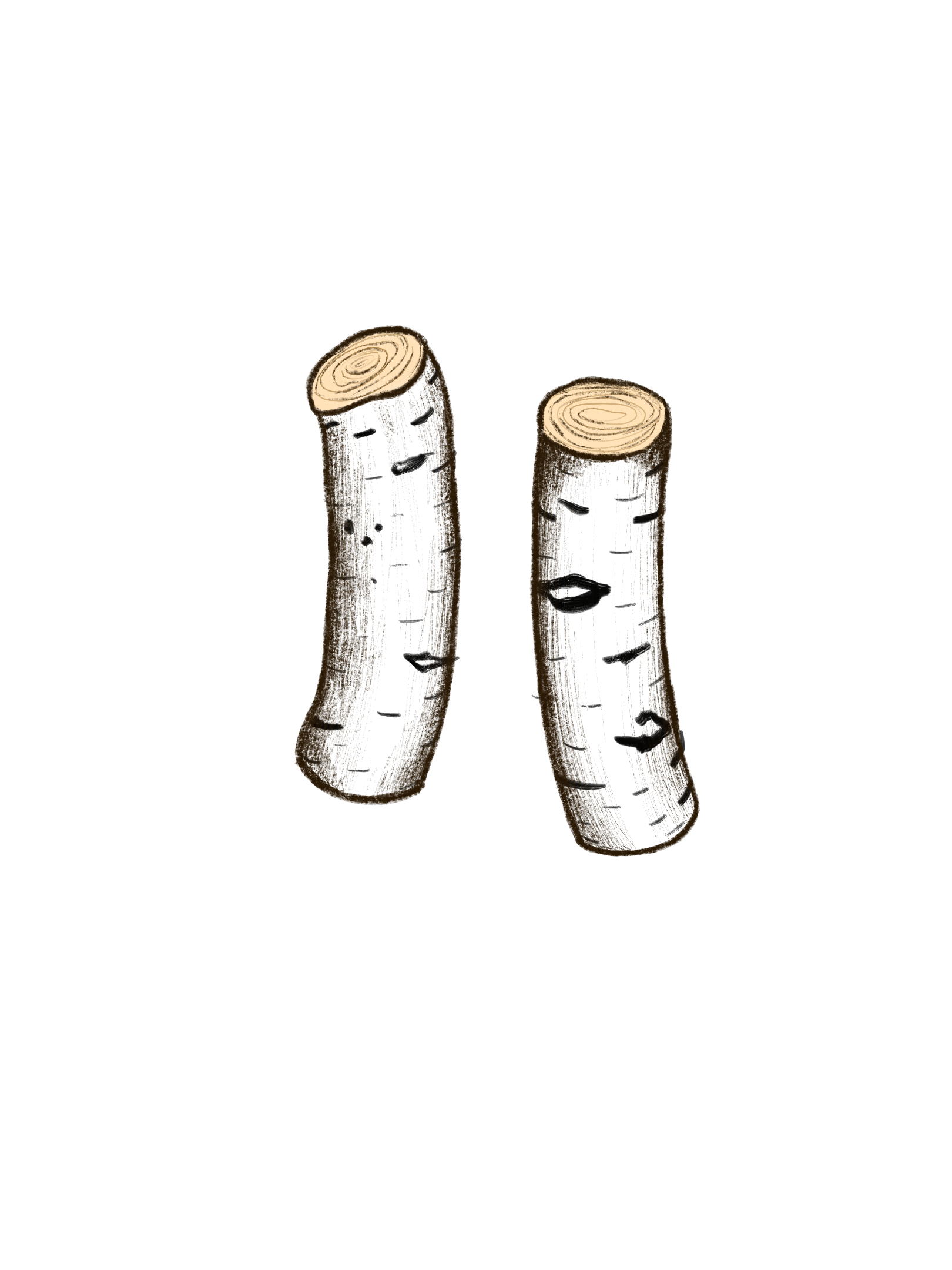 Illustration_sans_titre 22.png