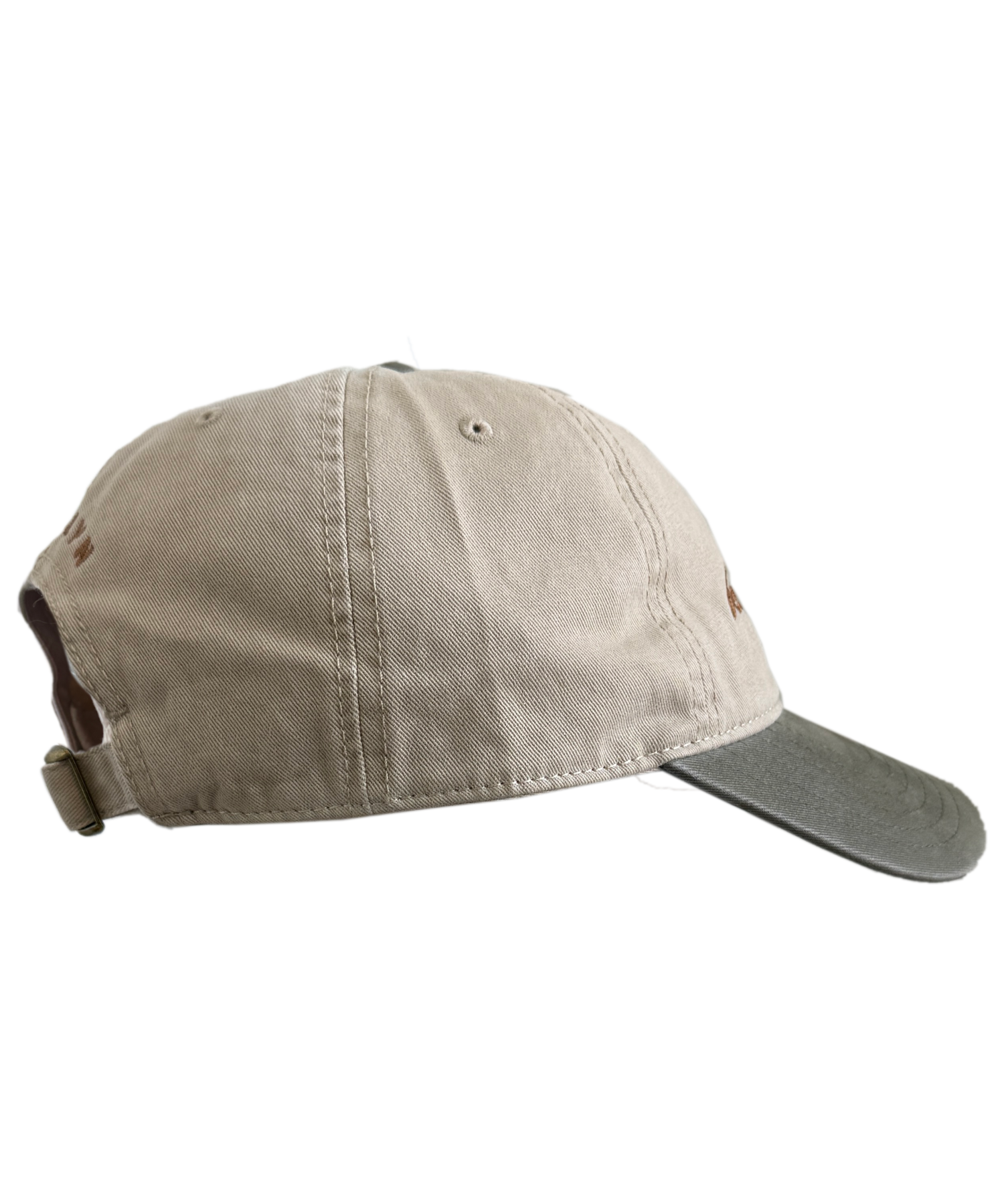 cap3.png