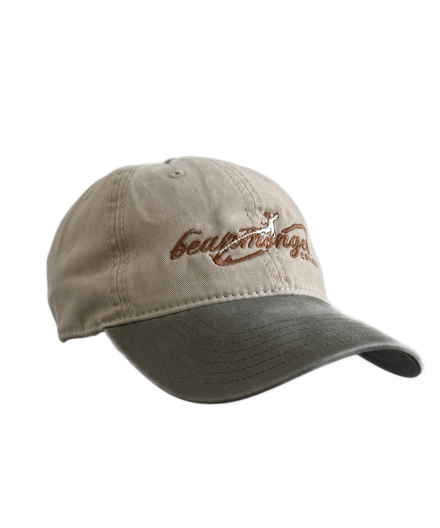 cap2.png