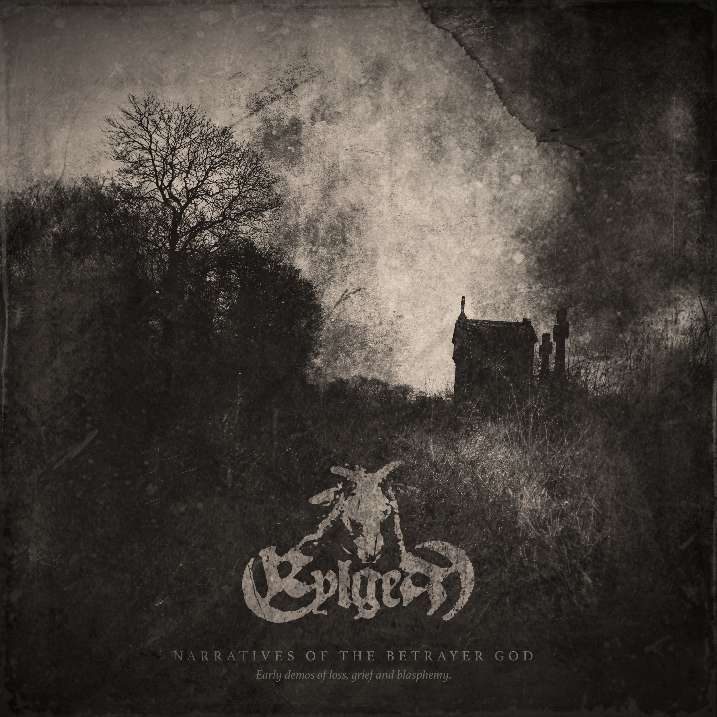 A dark, moody image of a weathered skull with a black ring around its neck, above the words 'Viles' and 'The Nebulous Definition'.