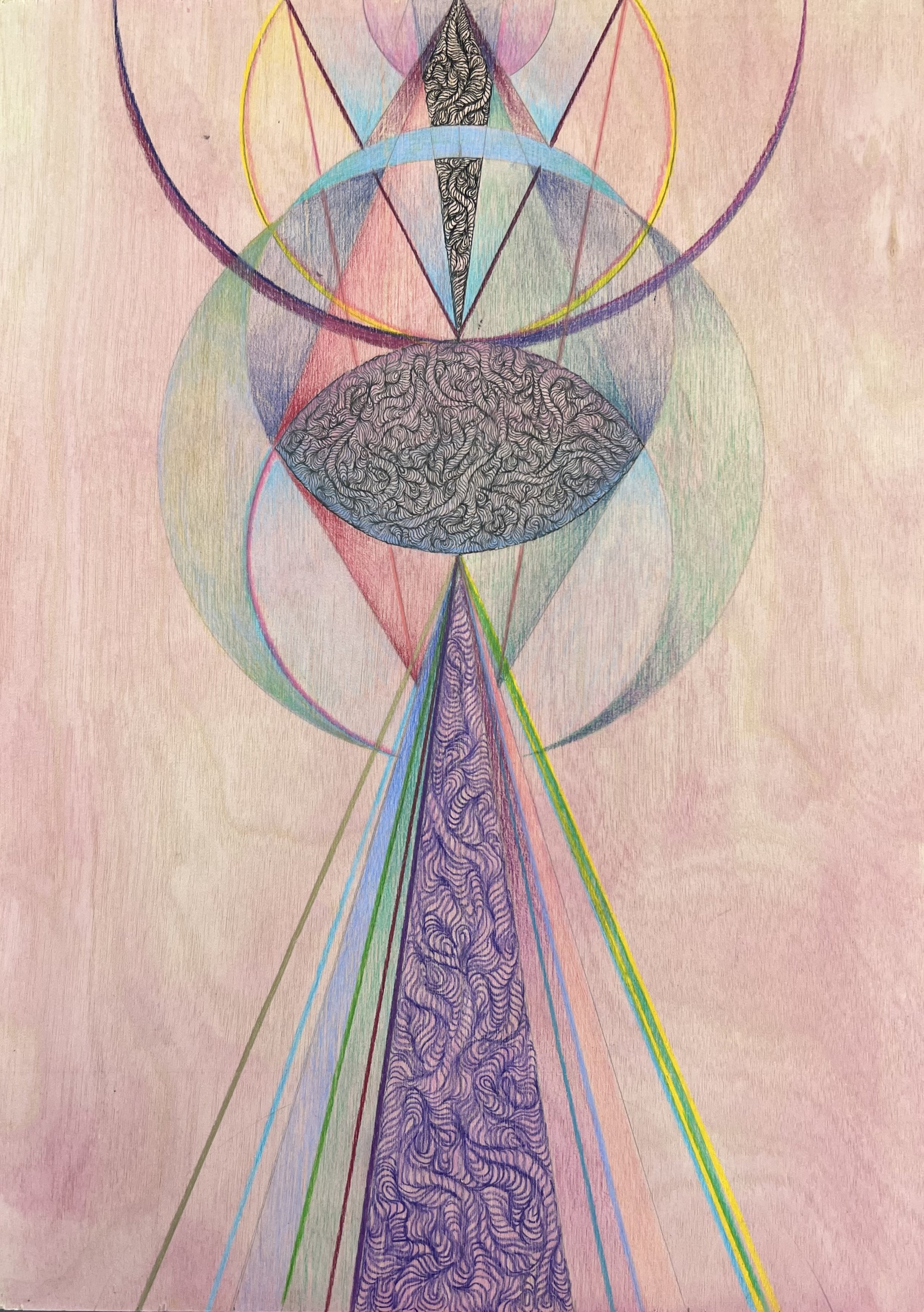 Coloured pencil drawing 007