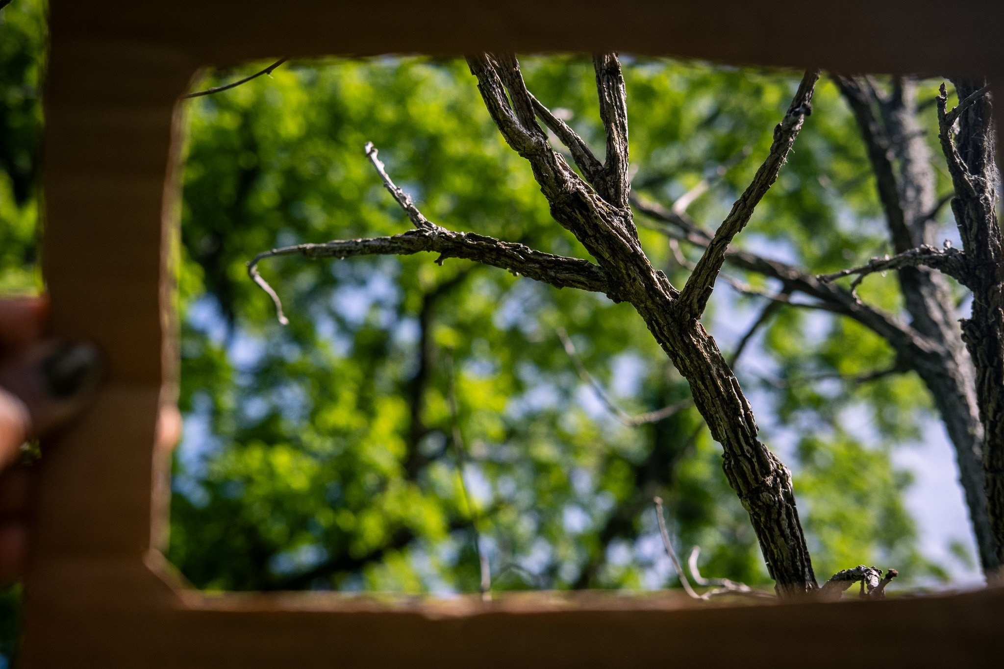 DSCF7455.jpg
