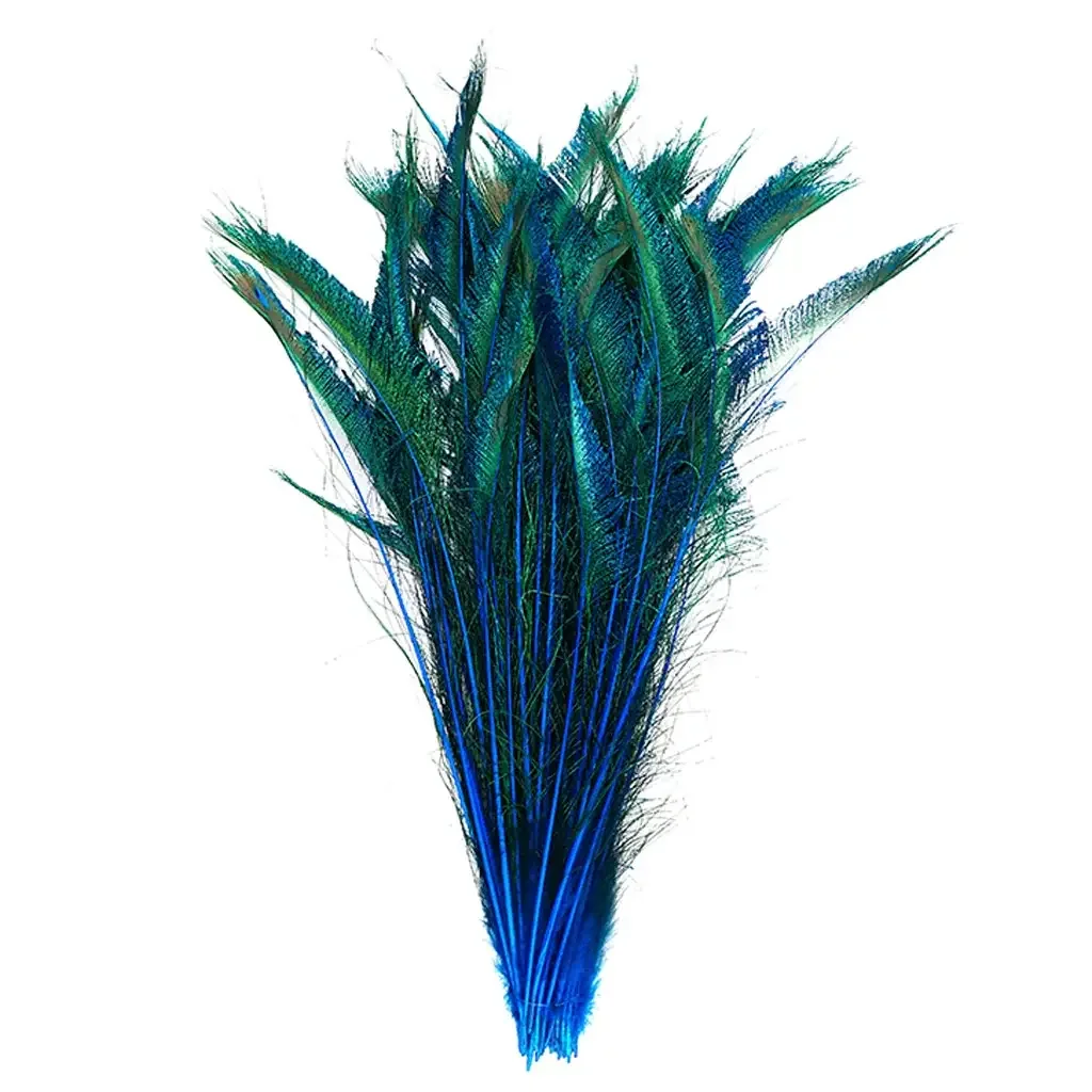 peacock tails.webp