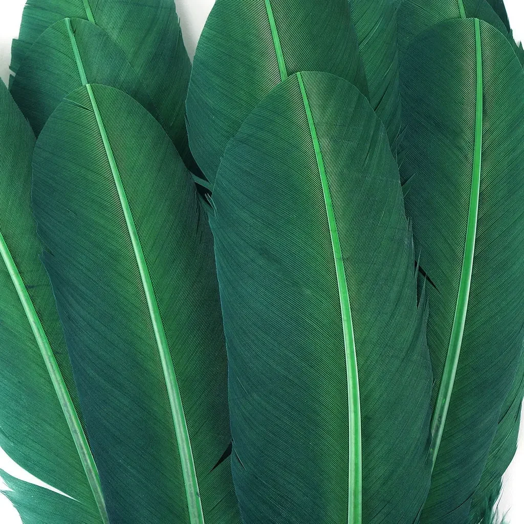Green feather.webp