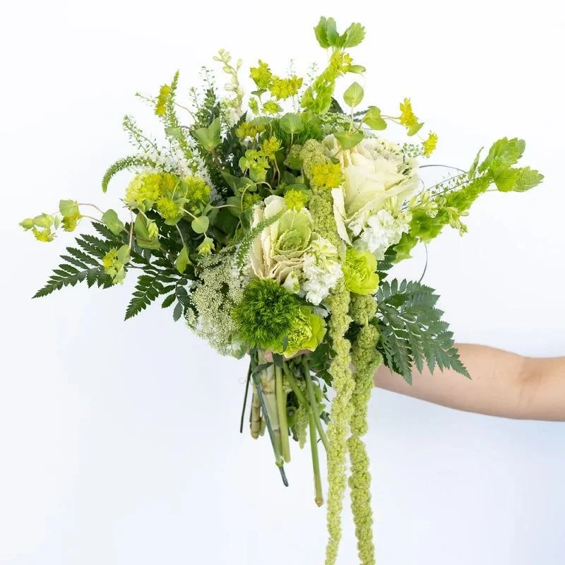 GREEN EARTH - Steamboat Dance Theatre