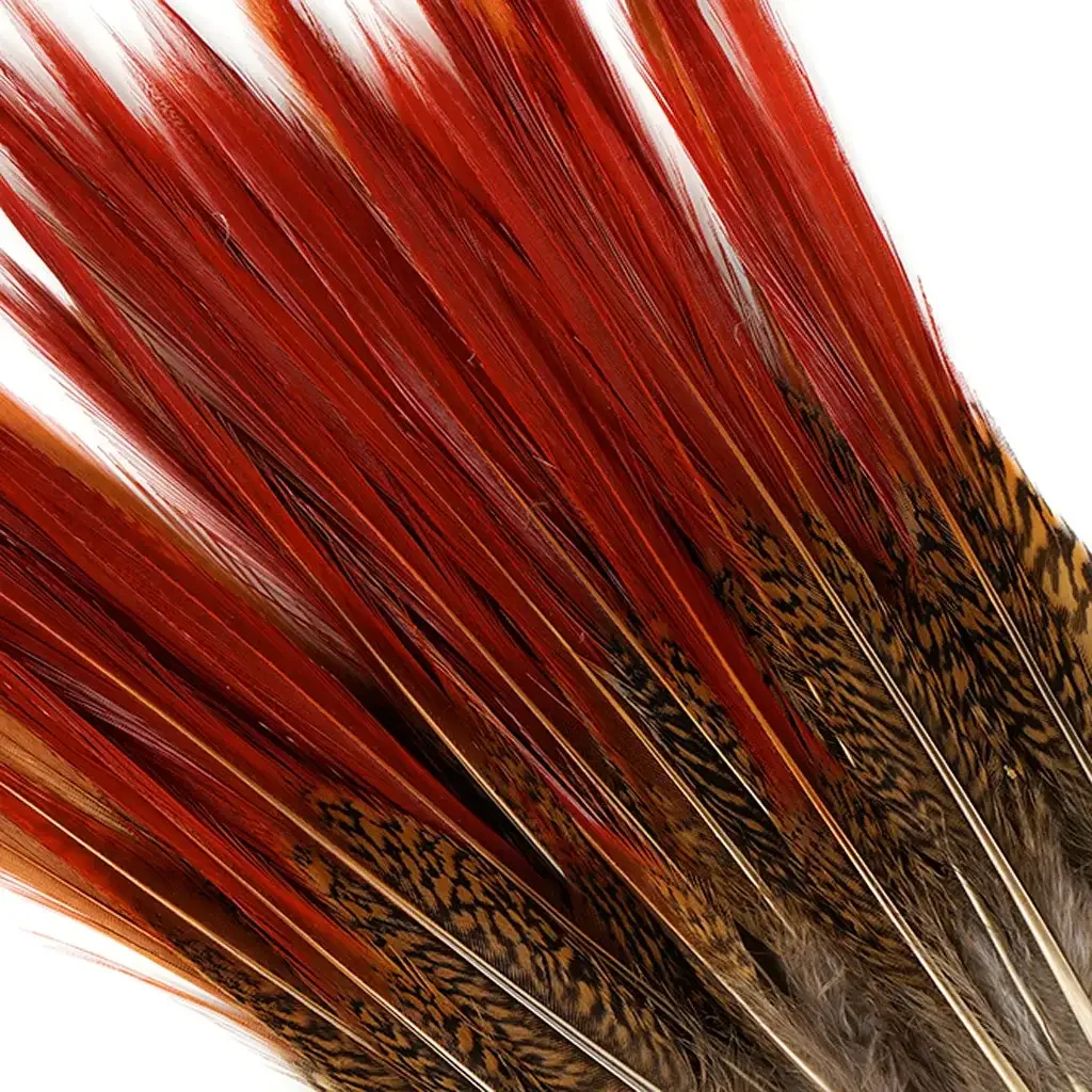 Red pheasant.webp