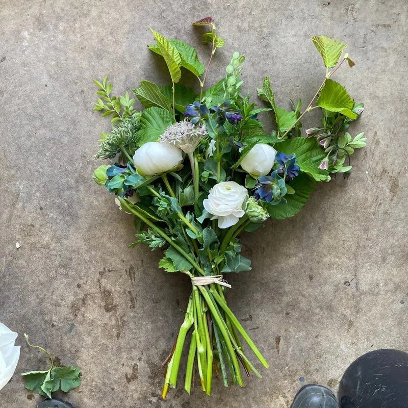 WICKED - Steamboat Skate Club