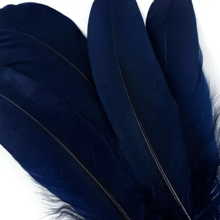 goose feather.webp