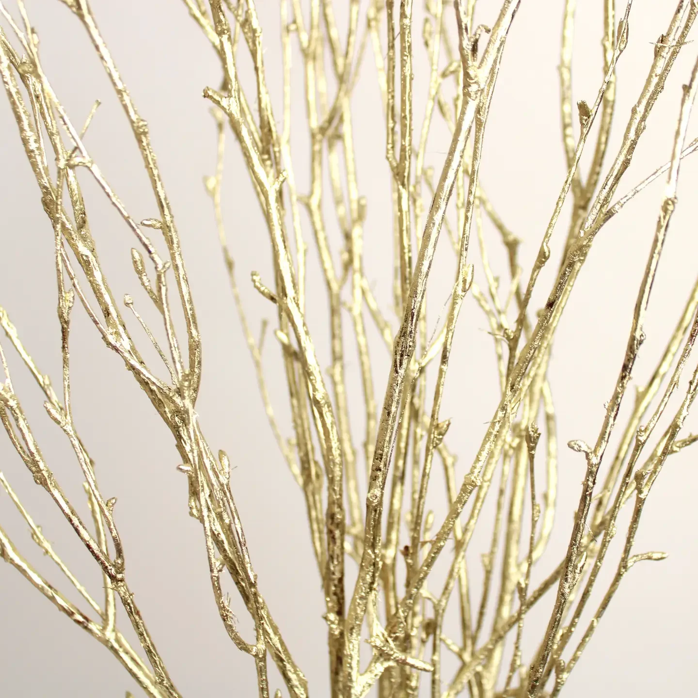 Gold birch branches.webp