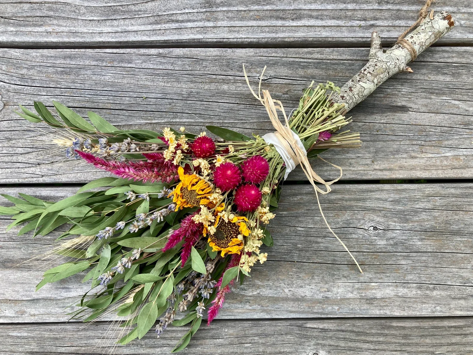 Witches's Broom.webp