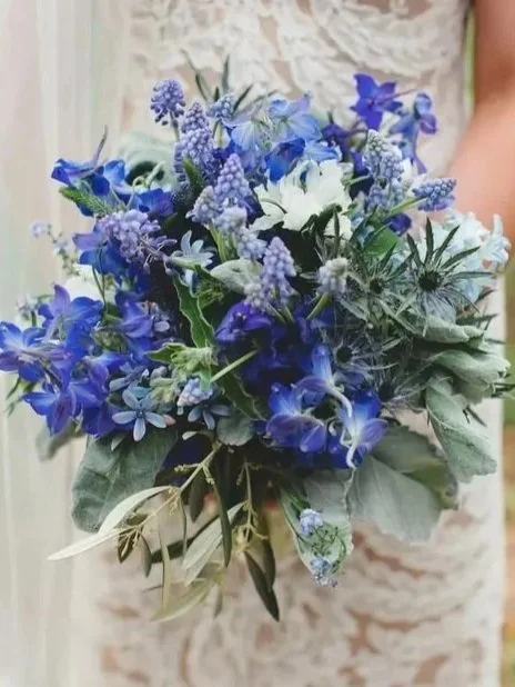 AVATAR - Steamboat Skate Club