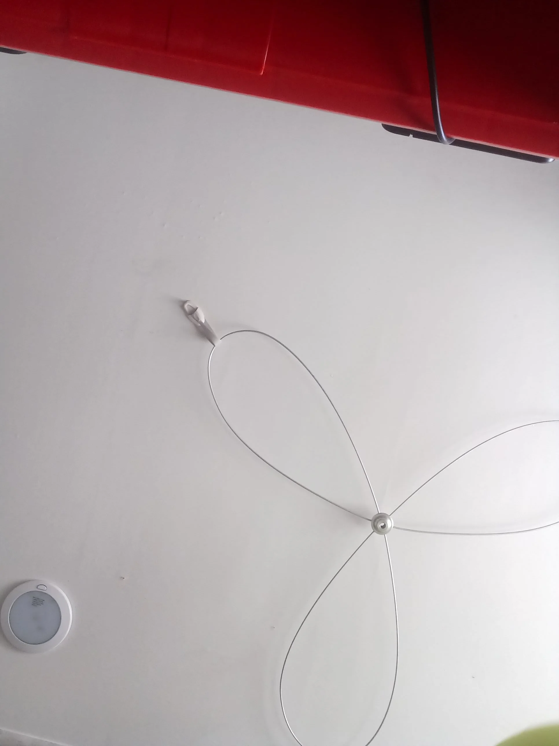 20260516_084232.jpg