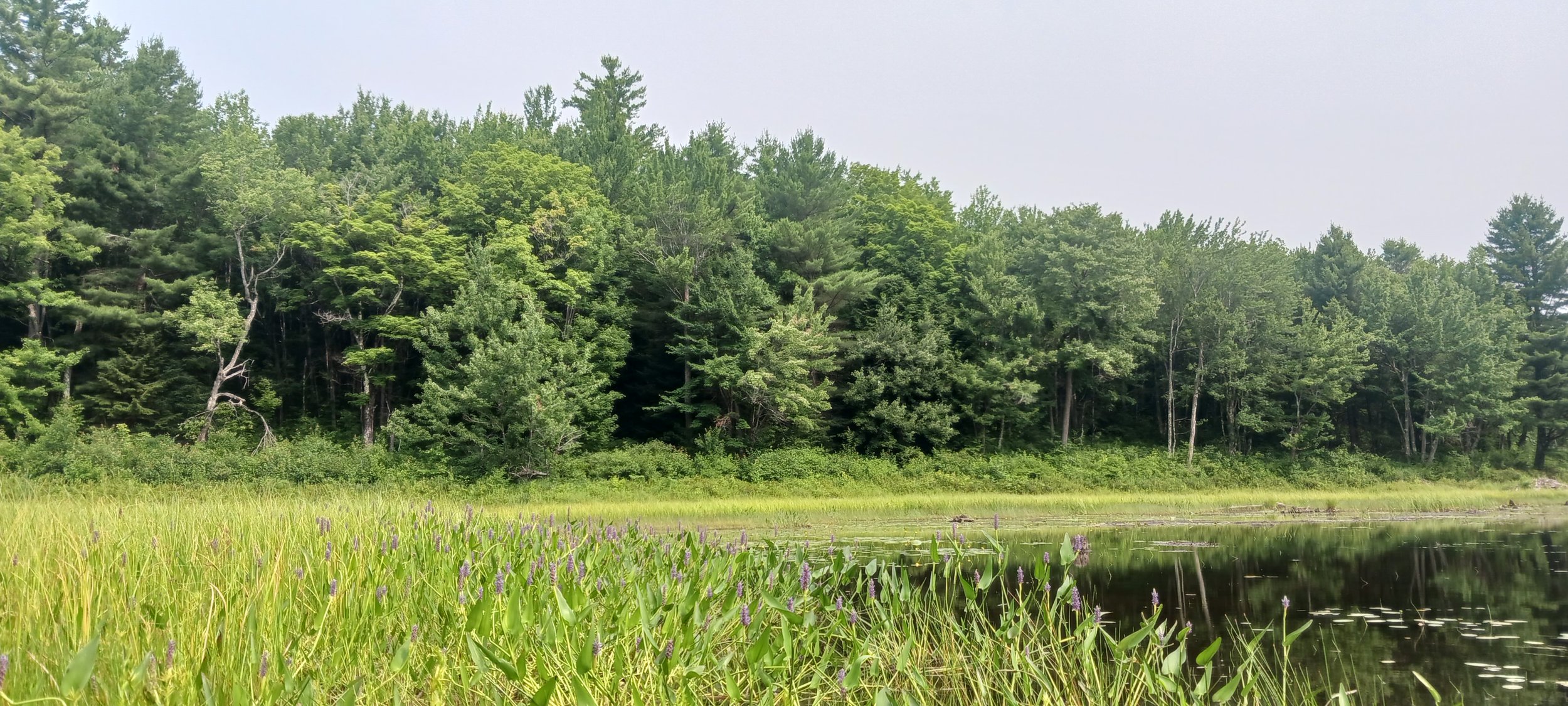20260718_102257.jpg