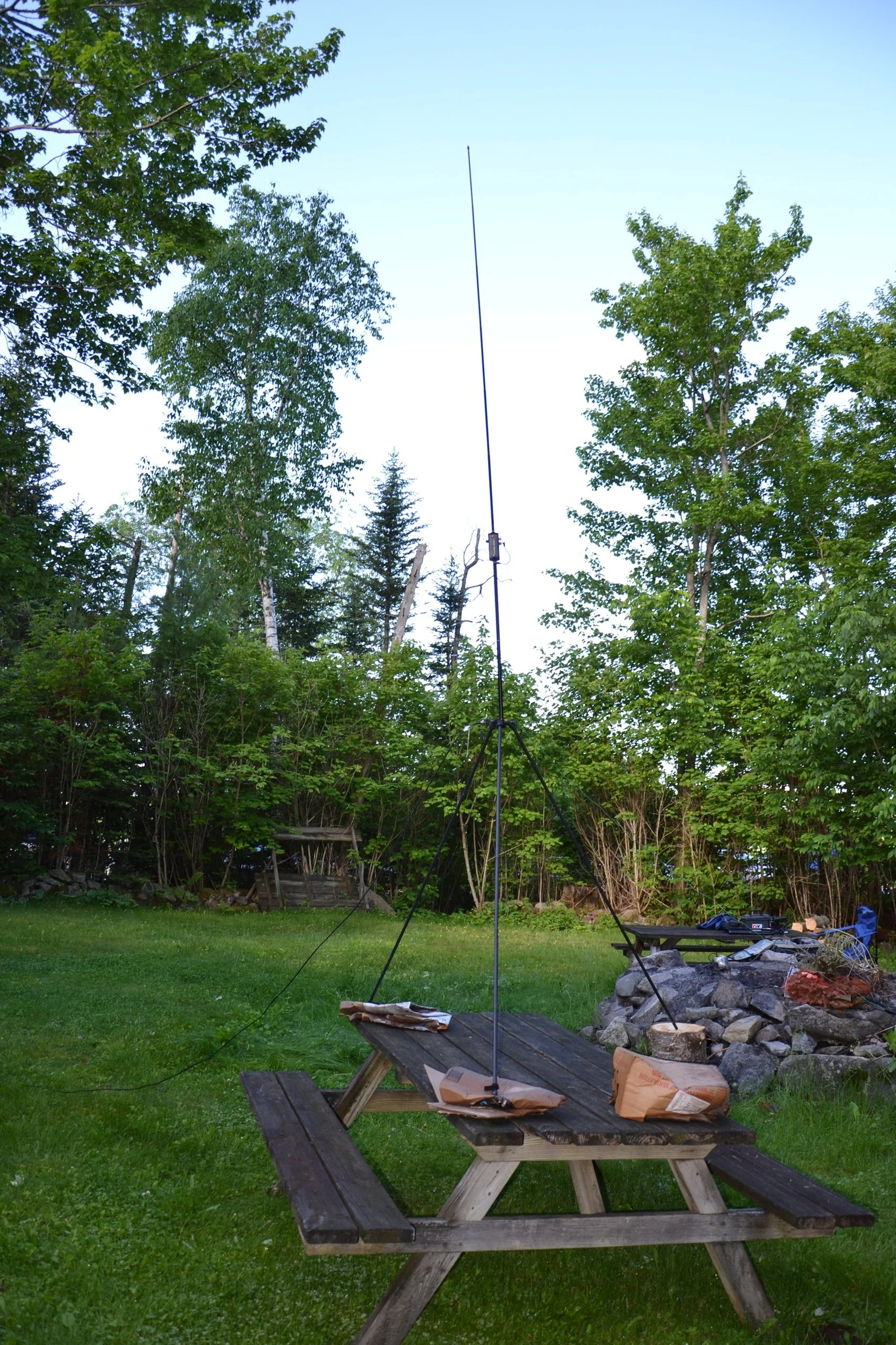 RalphsBuddyPole 061326.jpg