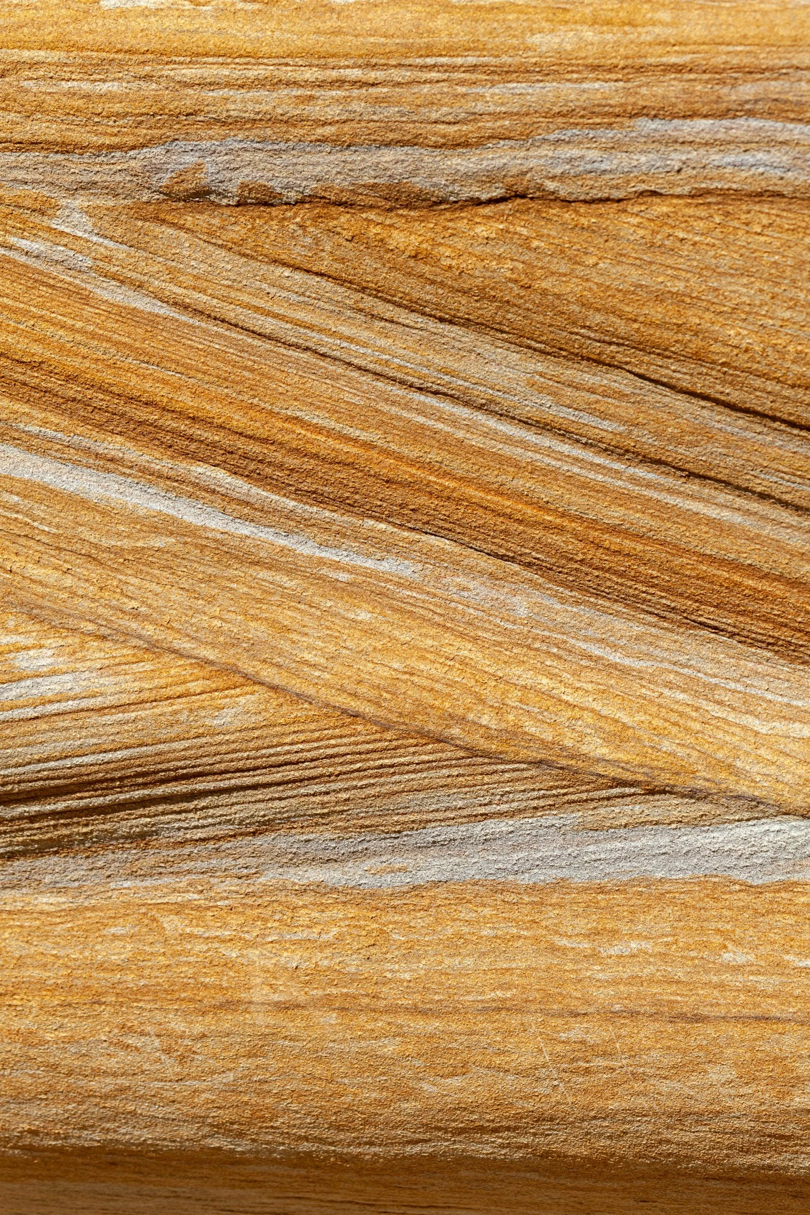 How to Lighten Wood: Natural Sunlight, Bleaching &amp; Staining Techniques