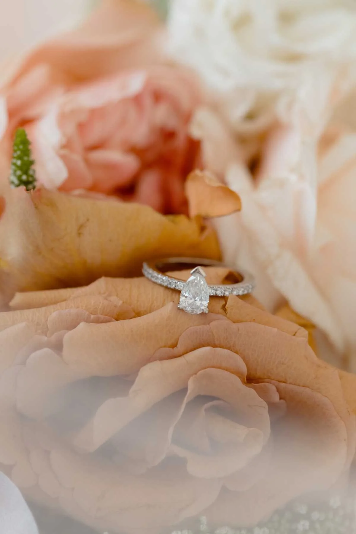 Sophie+Andrew-SP-18.jpg