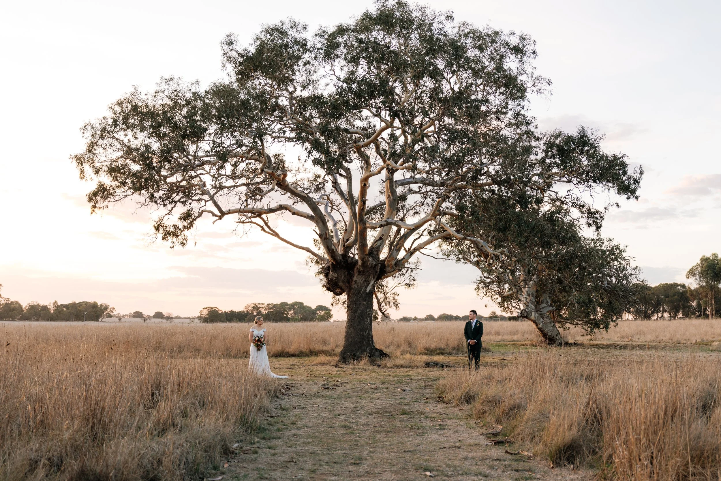 Couple standing either side of tree at sunset, Rocklea Farm, Geelong, Victoria wedding photography