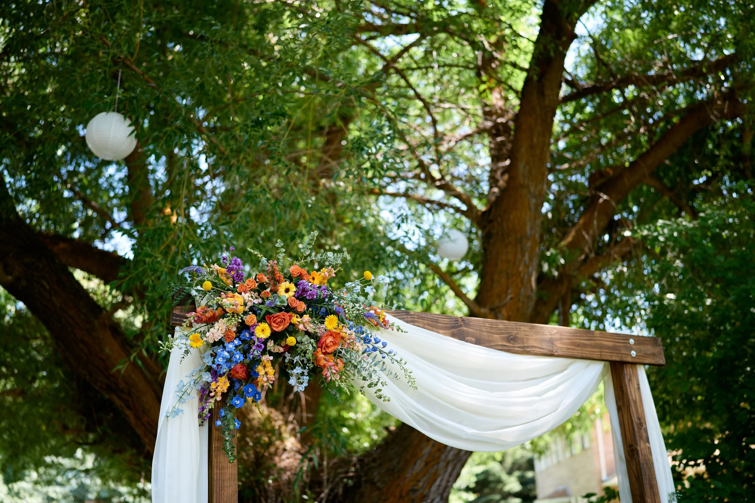 240622_Christy+Andrew_A726330_Edit.jpg