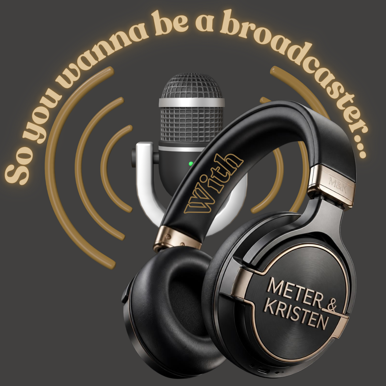 So you wanna be a broadcaster