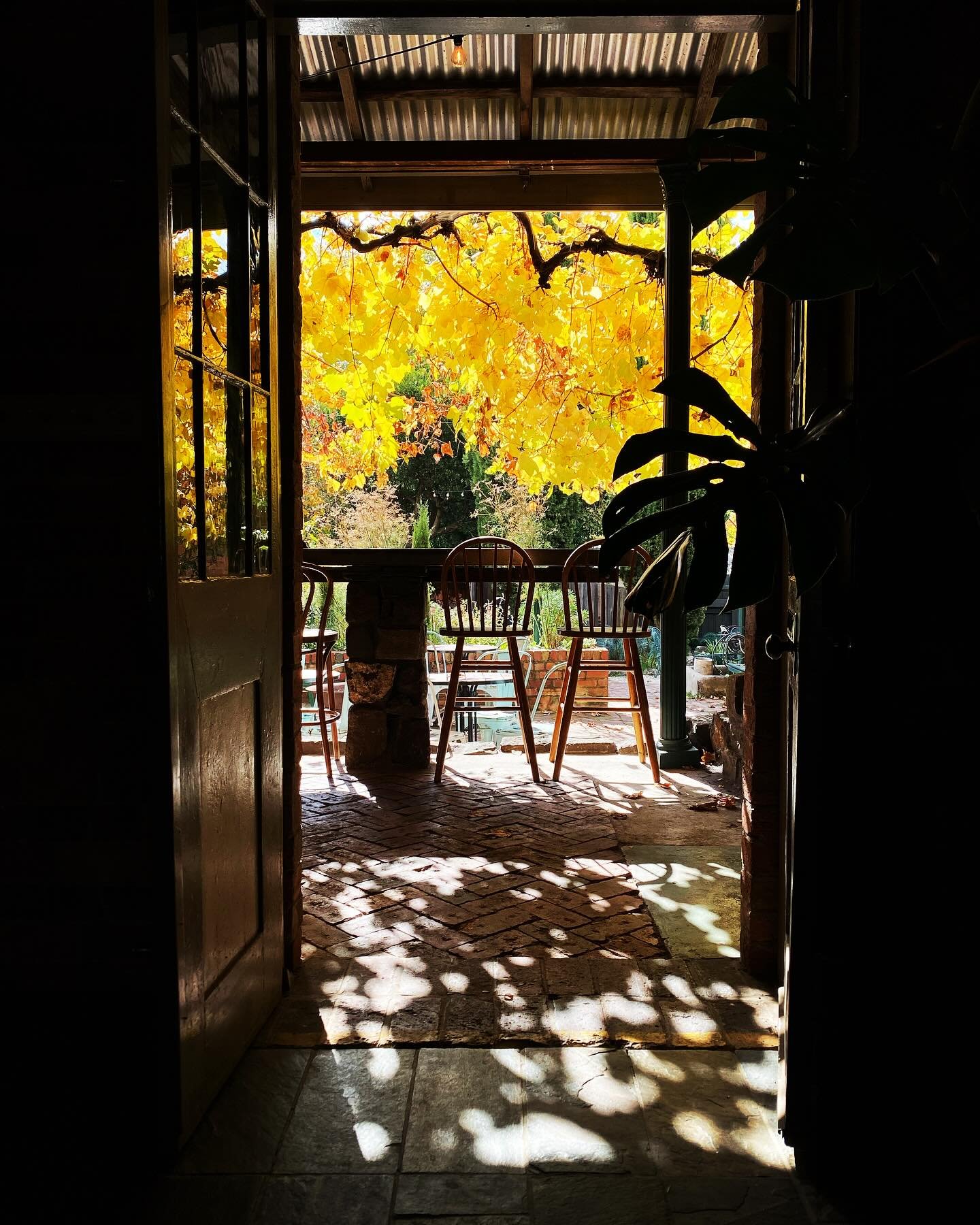 🍂🍁🧡

We love Autumn.
It&rsquo;s our favourite time of year to rug up near the fire with a vino in hand.
&hellip; and our courtyard is the perfect place for it!

🍽️ KITCHEN 3pm-8pm
🥂 BAR 11am-11pm