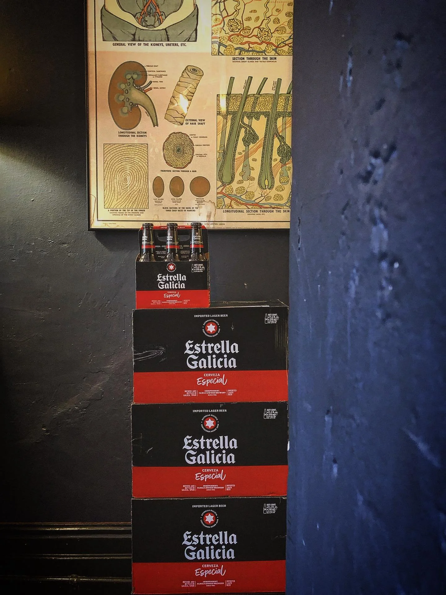 The other Estrella, Galicia, is back in the house.

&iexcl;delicioso!

🇪🇸🍻